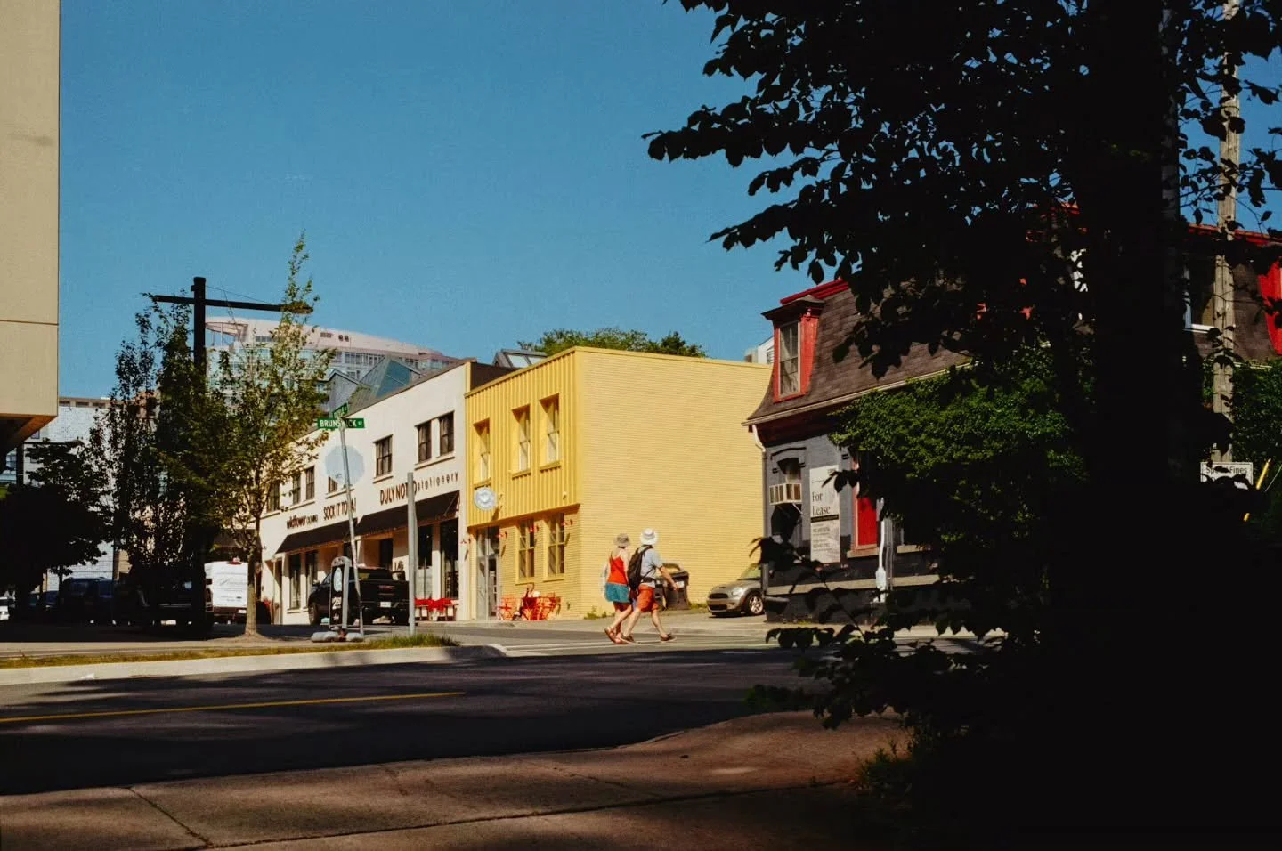 Our first summer on Doyle Street, and in good company. Captured on film by @calummolitordyer.