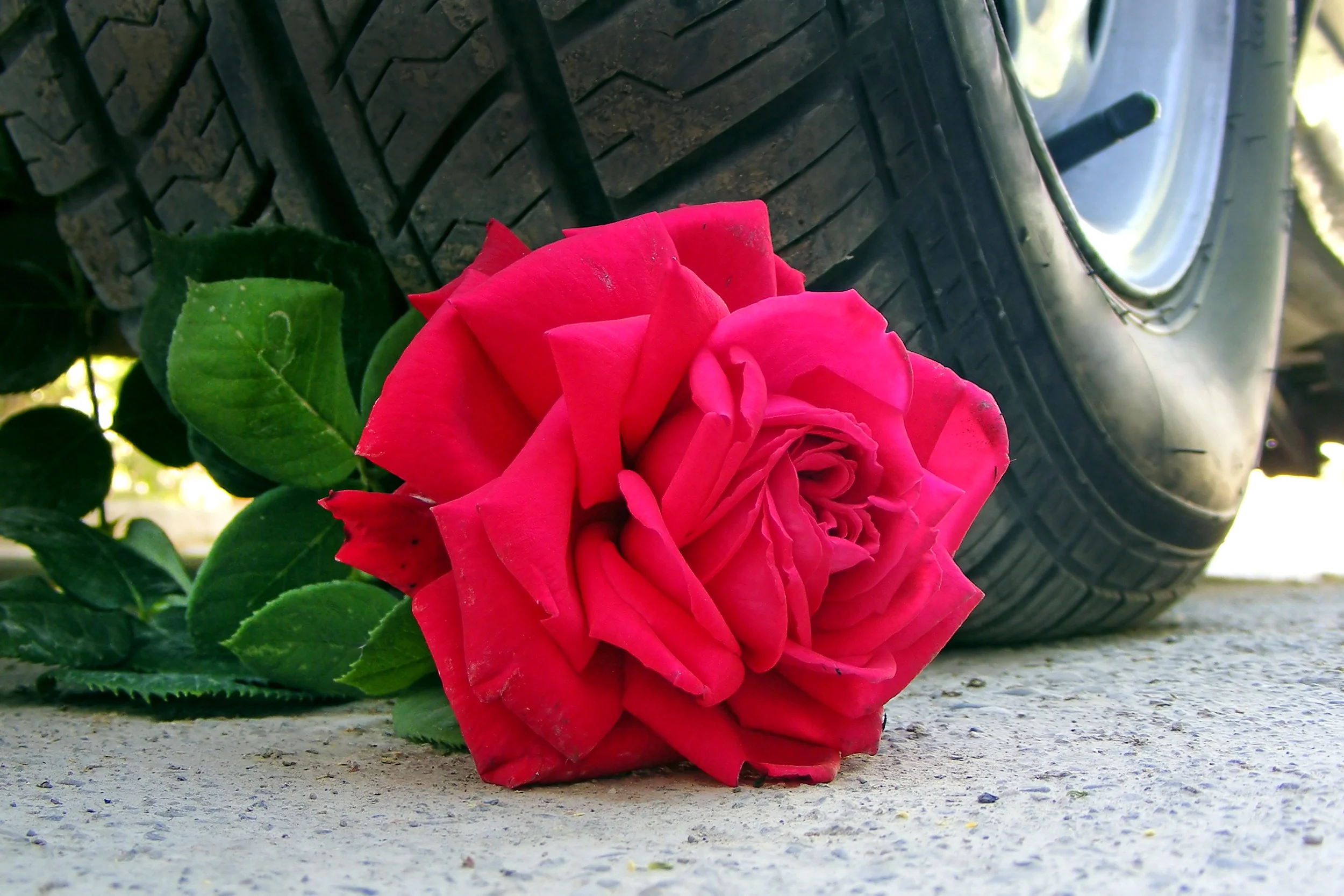5 of San Luis Obispo Counties Best Valentines Day Locations