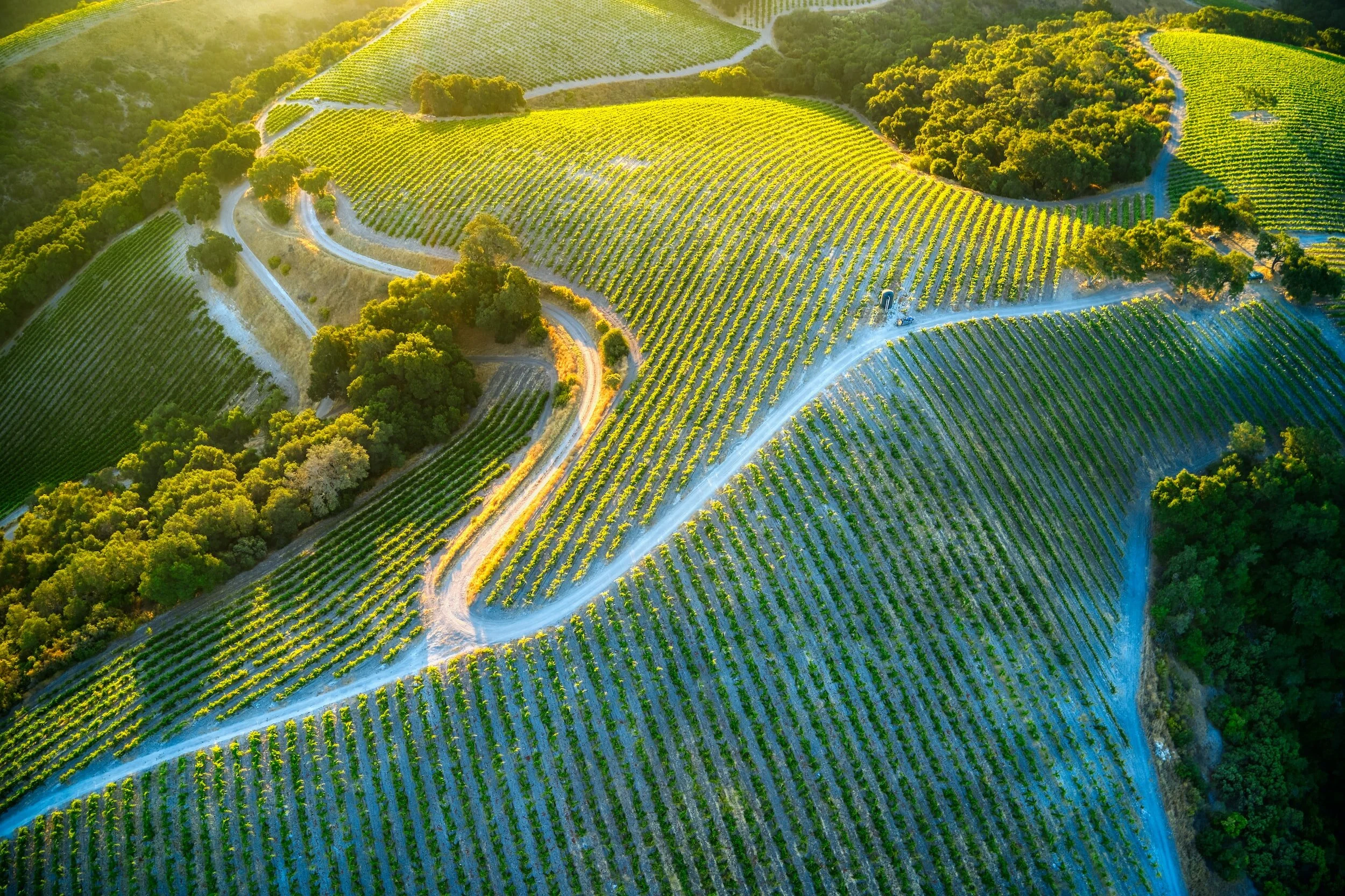 The Most Scenic Party Bus Routes in Paso Robles