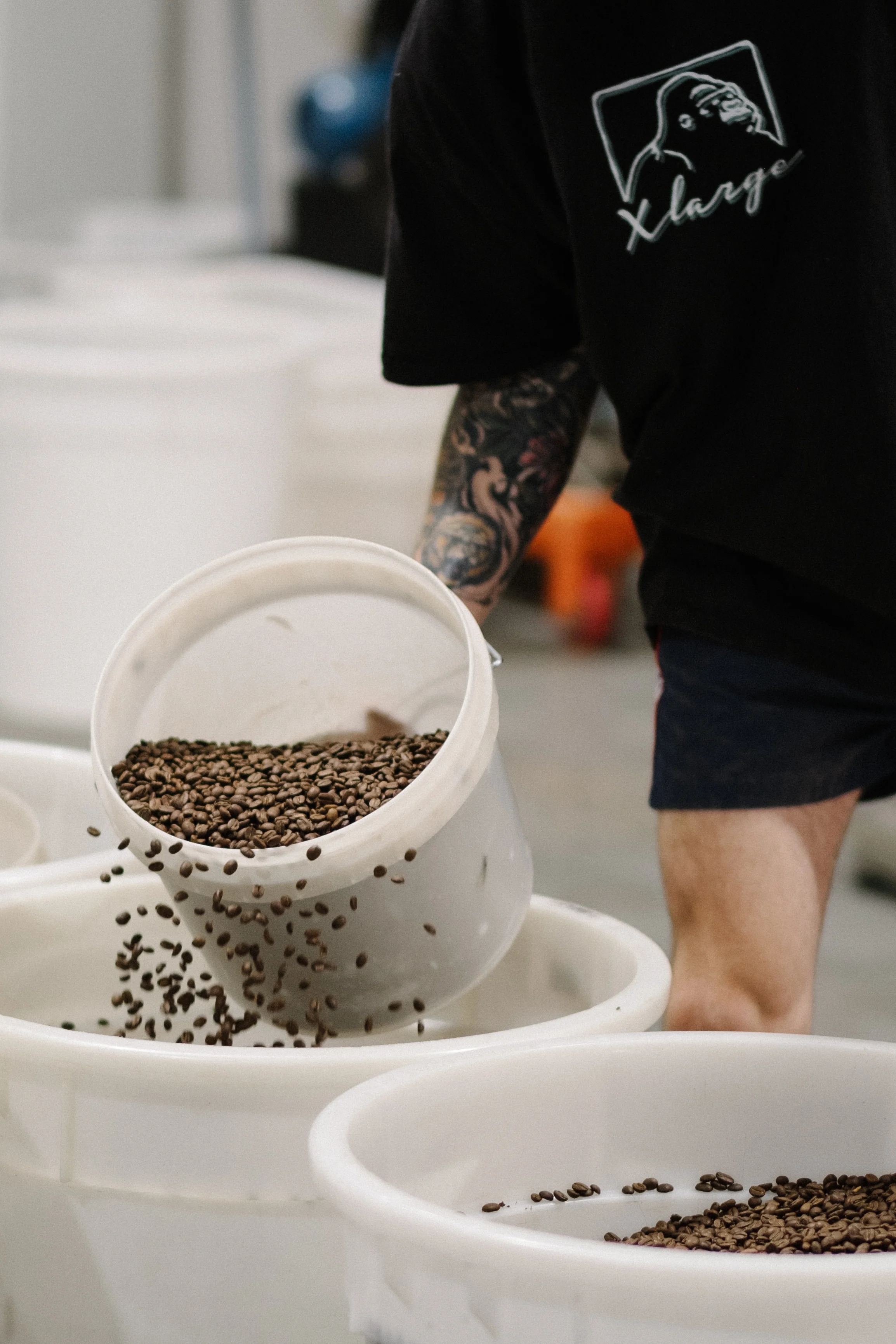 Leftfield Coffee Roasters Coffee Roasters Perth Perth Coffee