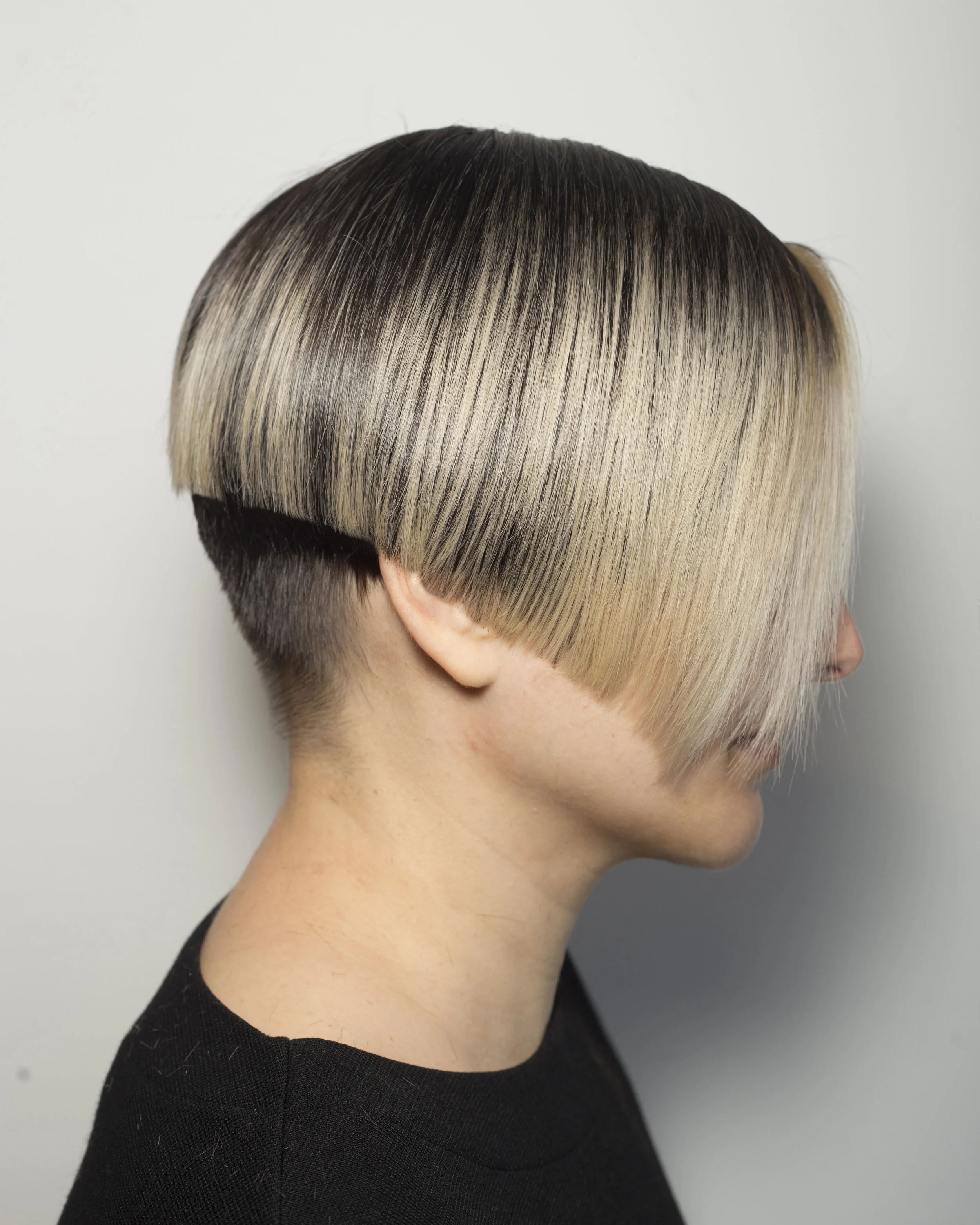 Partial highlight and haircut by Laurie