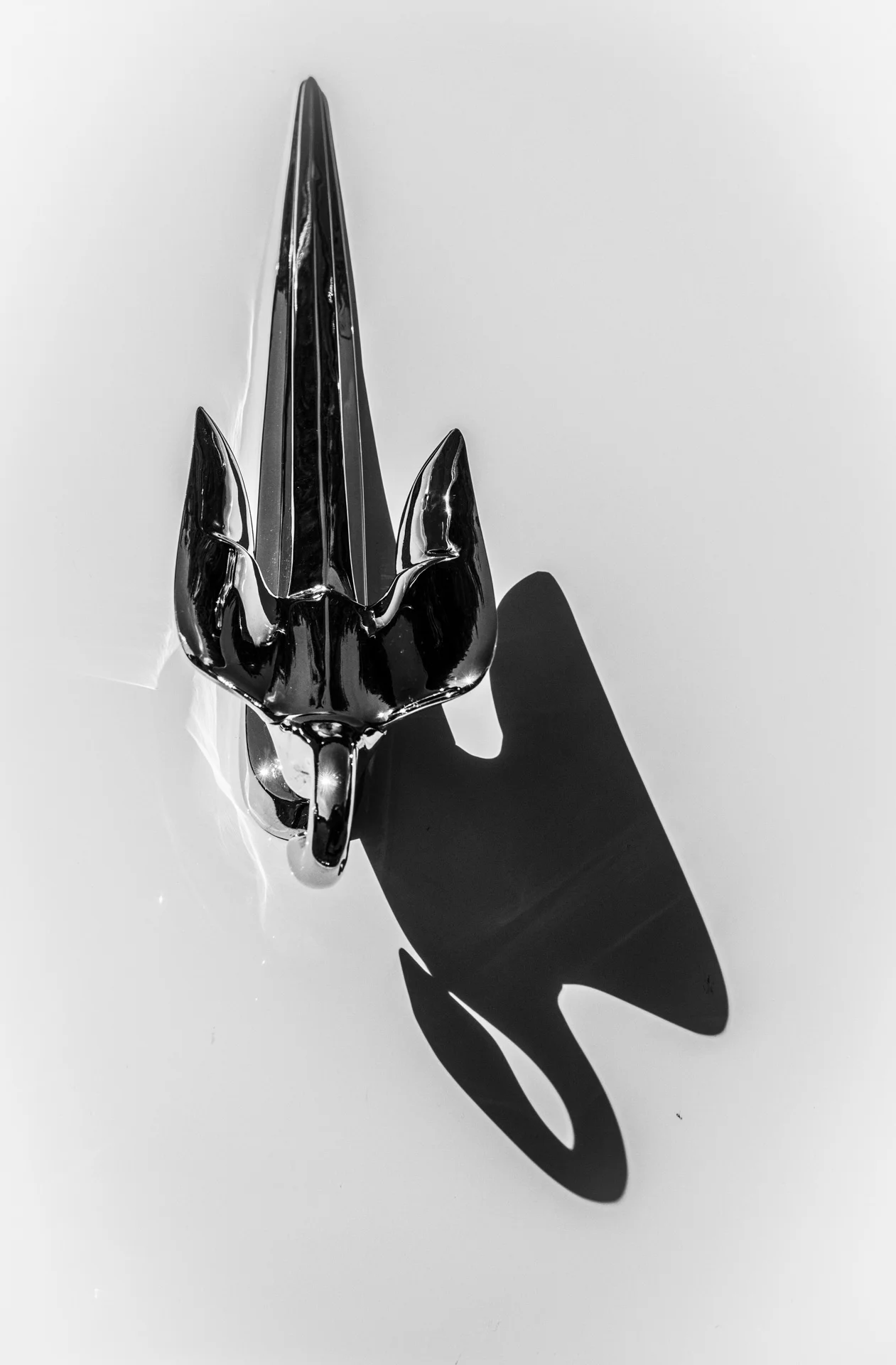 Hood Ornament Shadow