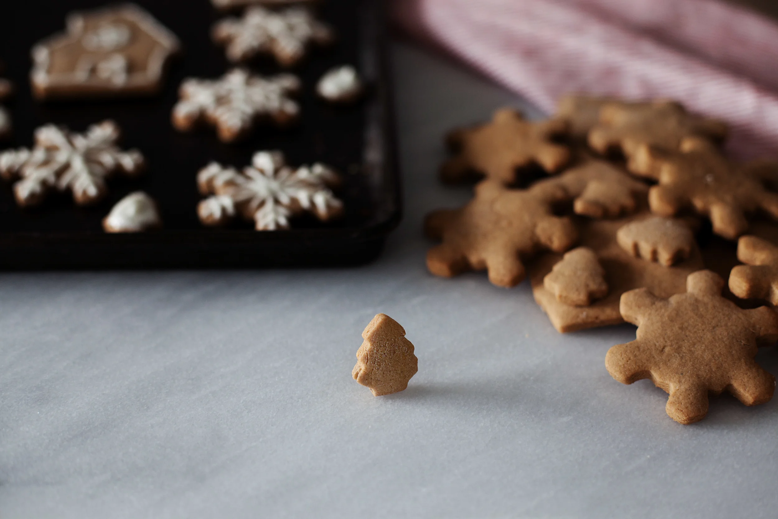 gingerbread cookies i.jpg