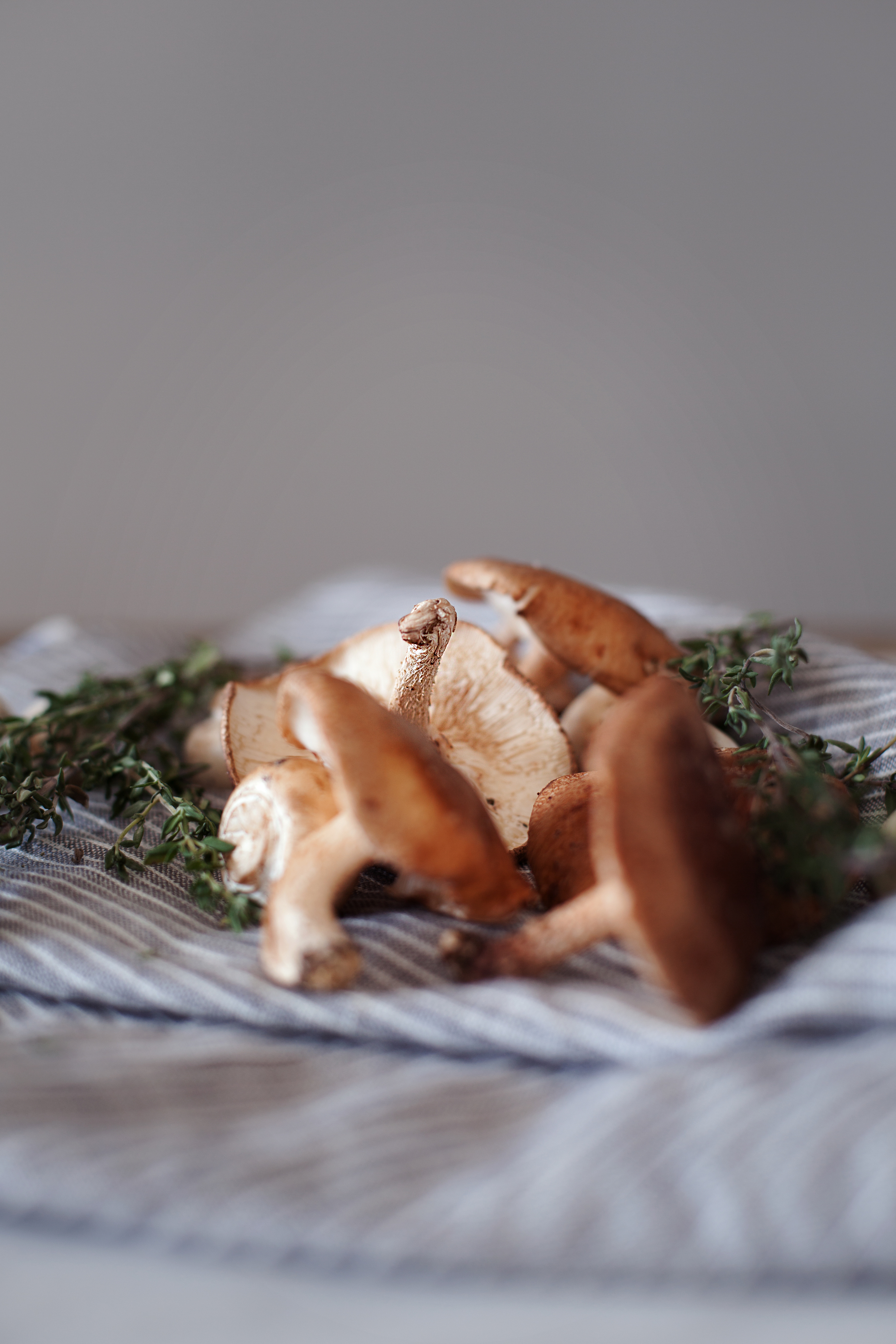 mushroom pastry iv.jpg