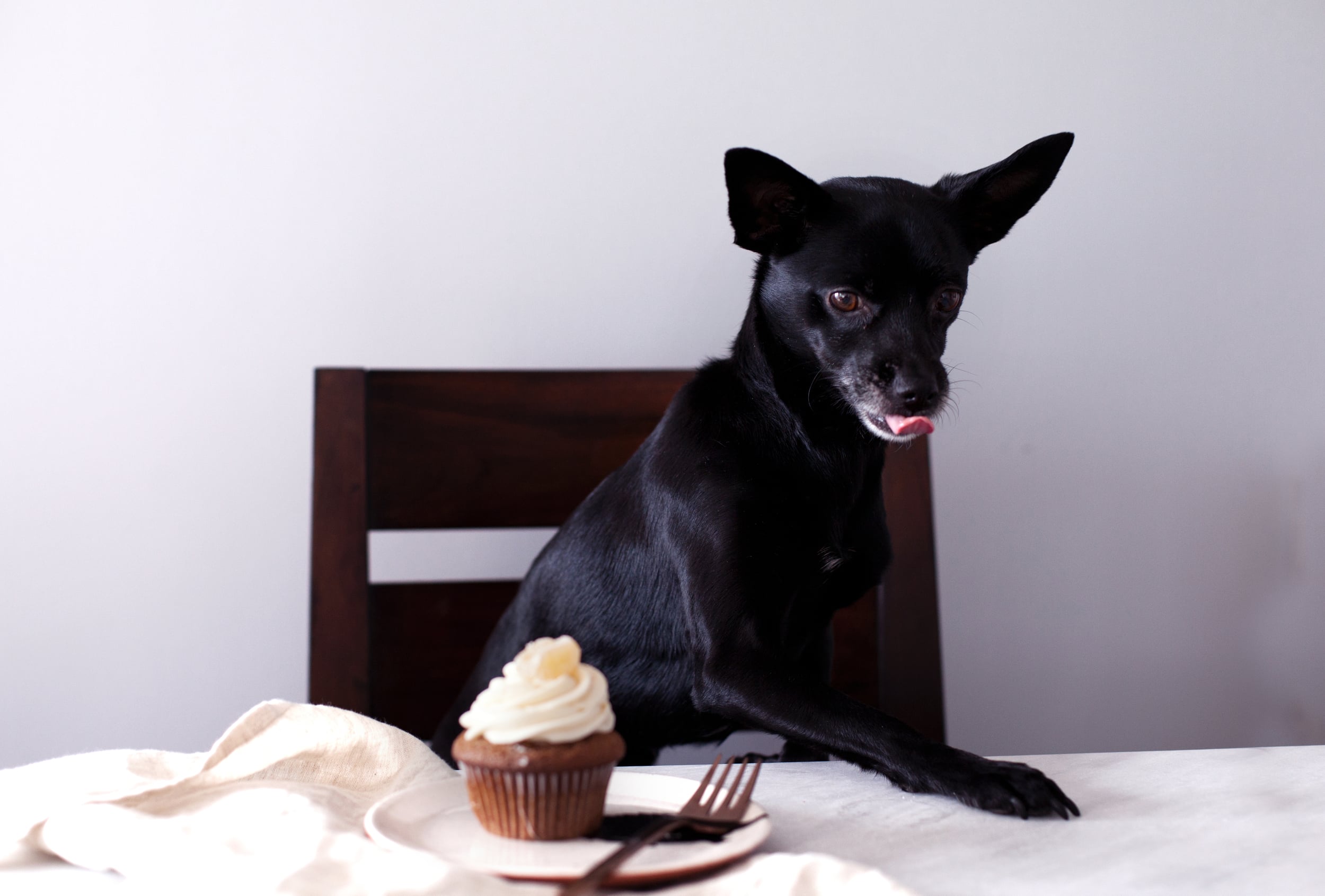 candied ginger cupcakes vii.jpg