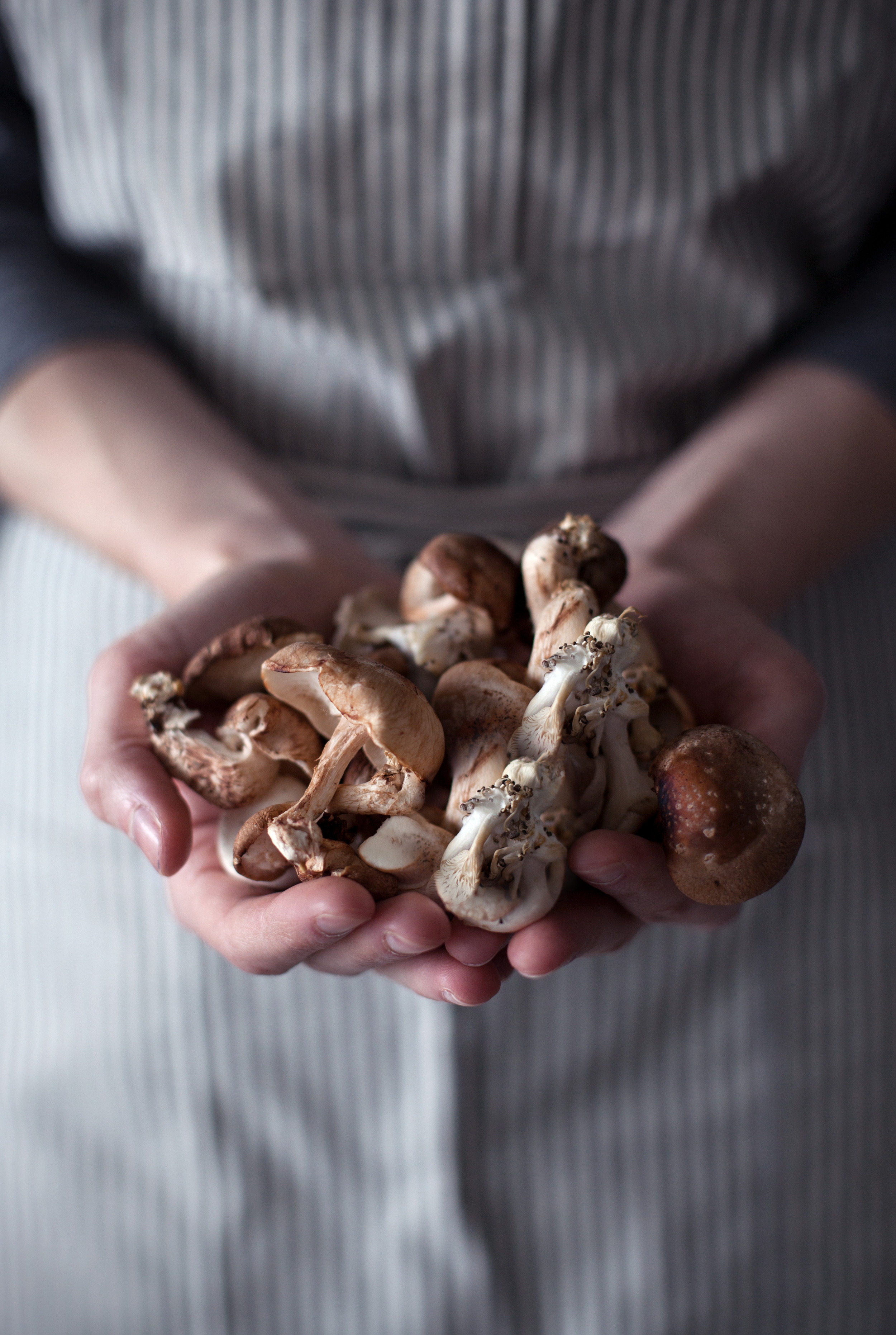 wild mushroom fritatta.jpg