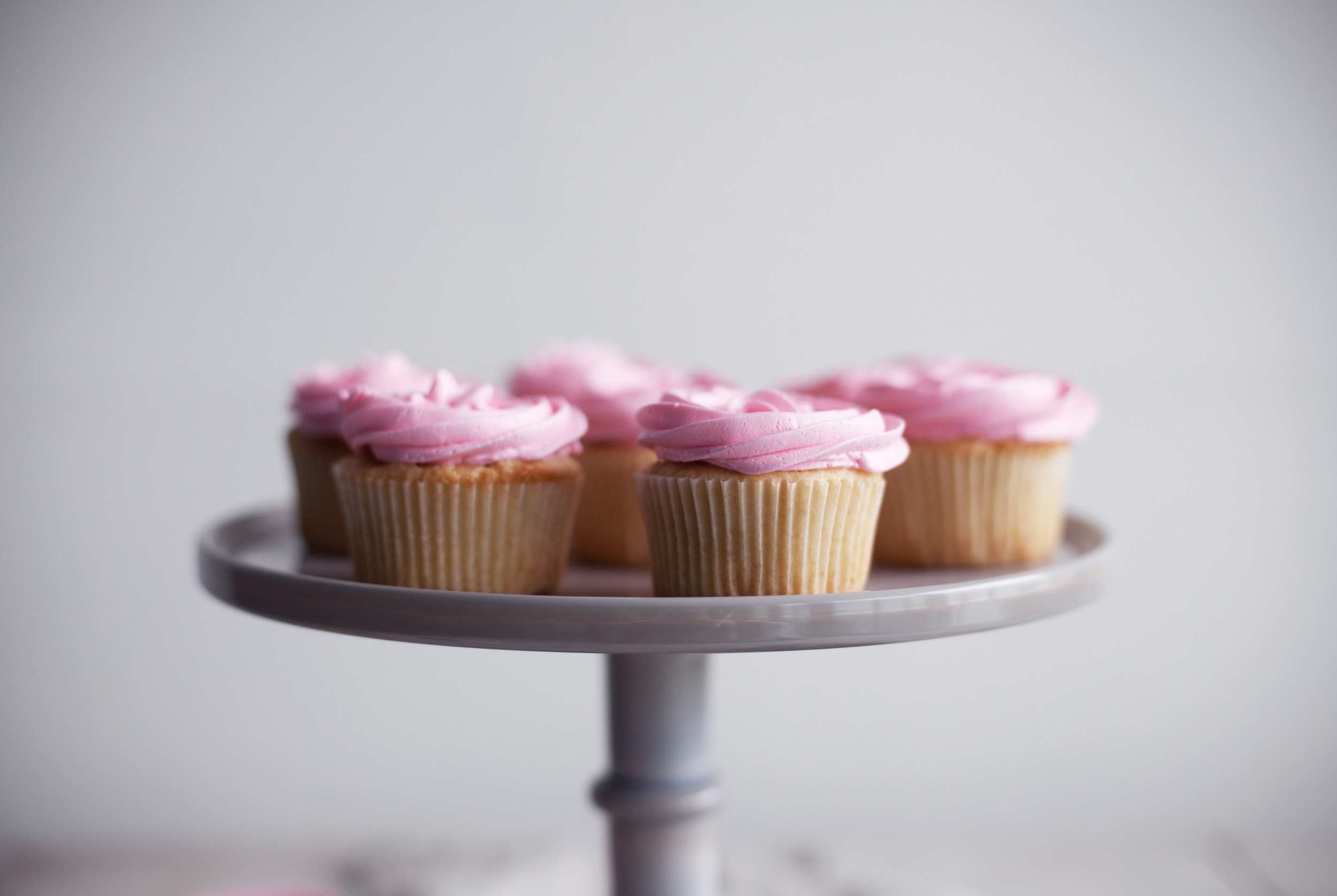 rose cupcakes vi.jpg