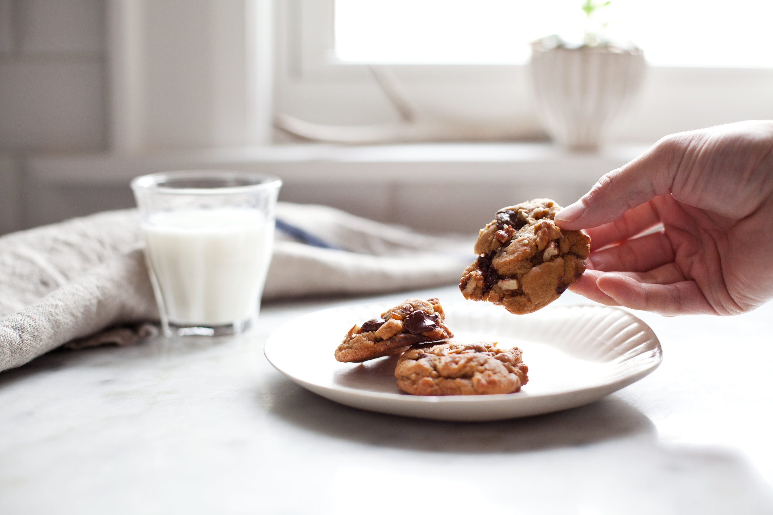 gingerbread chocolate cookies xiv.jpg