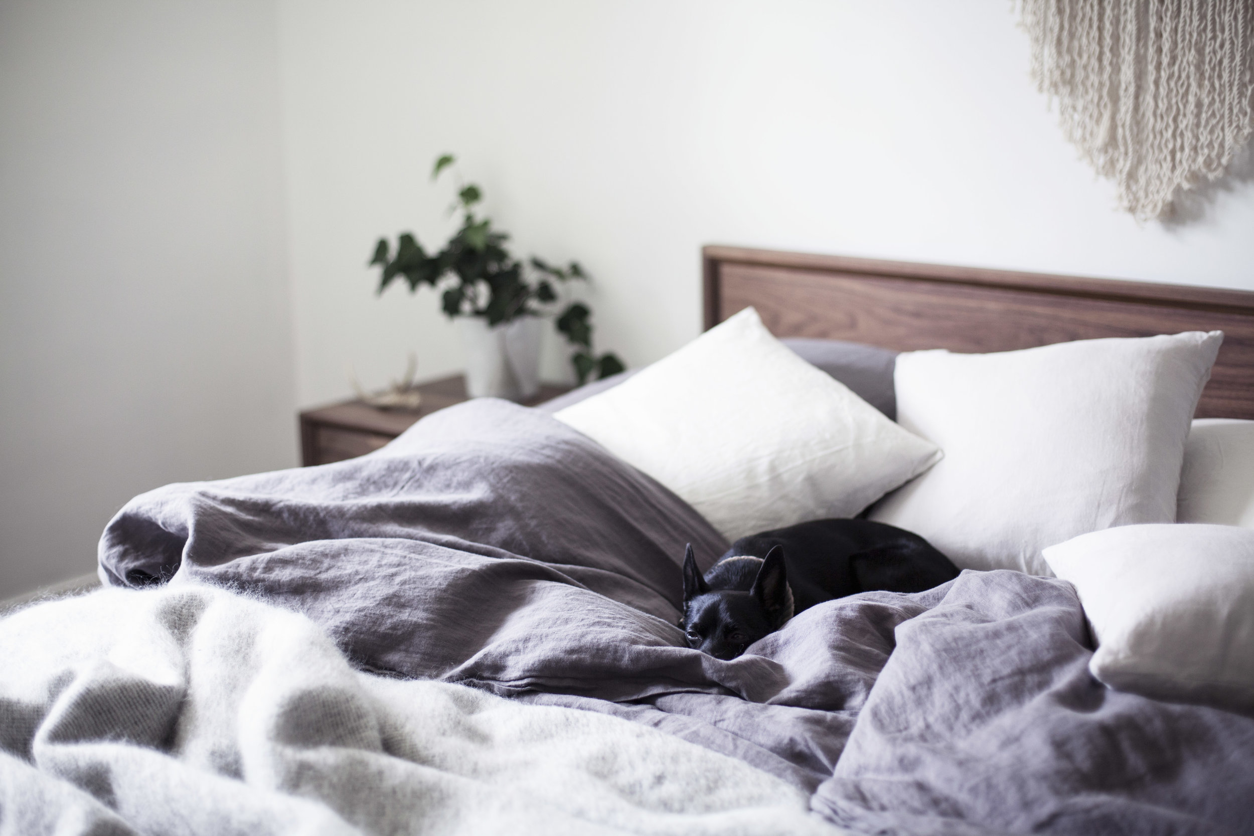 monochromatic bedroom 17.jpg