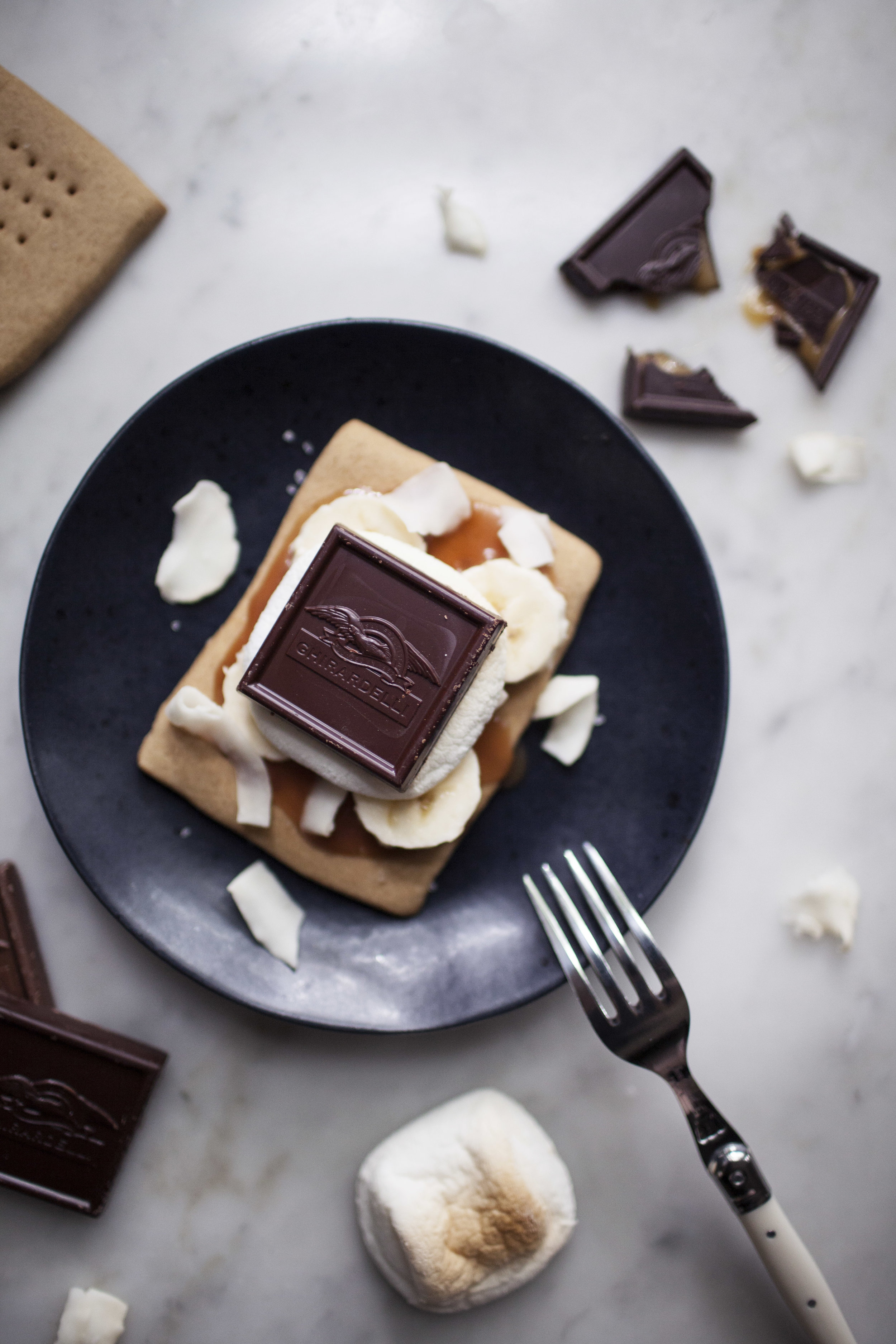 graham cracker s'mores xiii.jpg