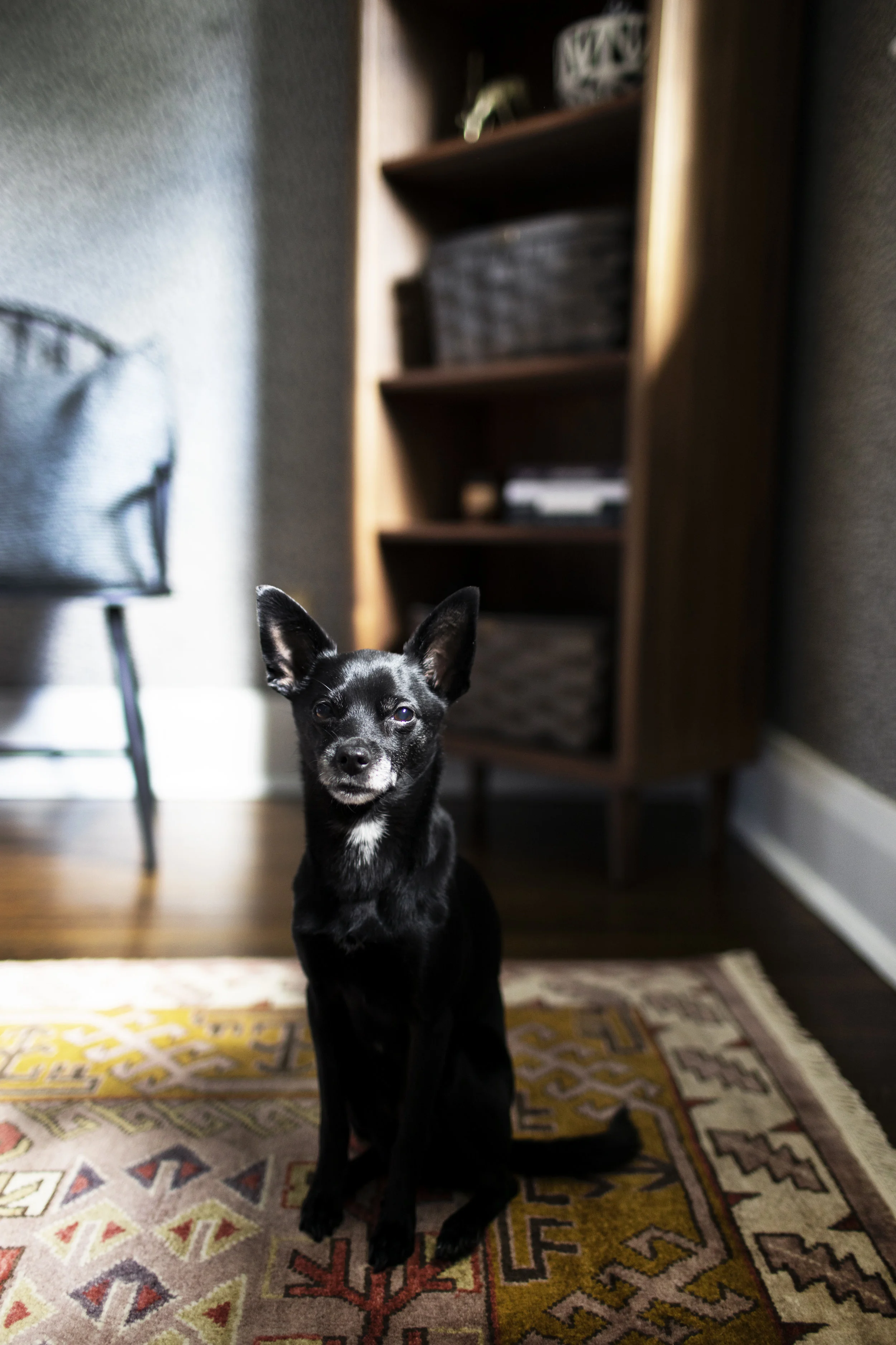 cozy office refresh xviiii.jpg