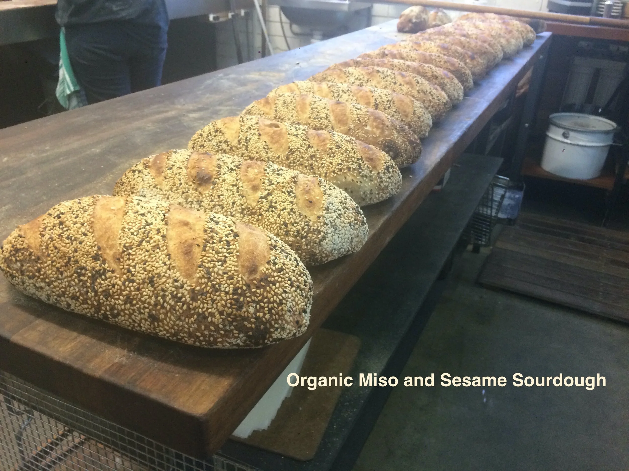 HEARTH BREADS BAKERY Hearth Breads Bakery HEARTH BREADS BAKERYHEARTH