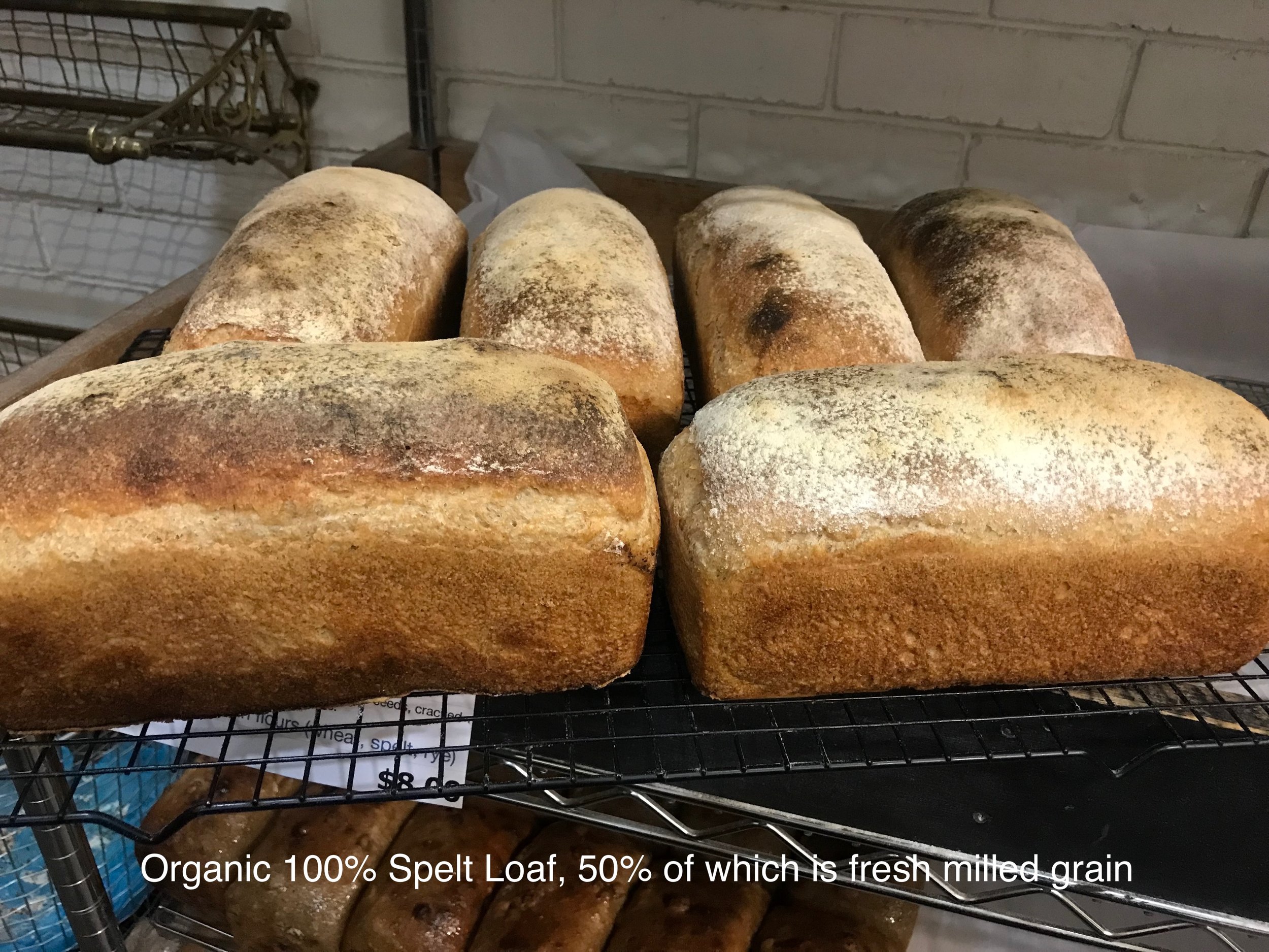 100% Spelt Loaves.jpeg