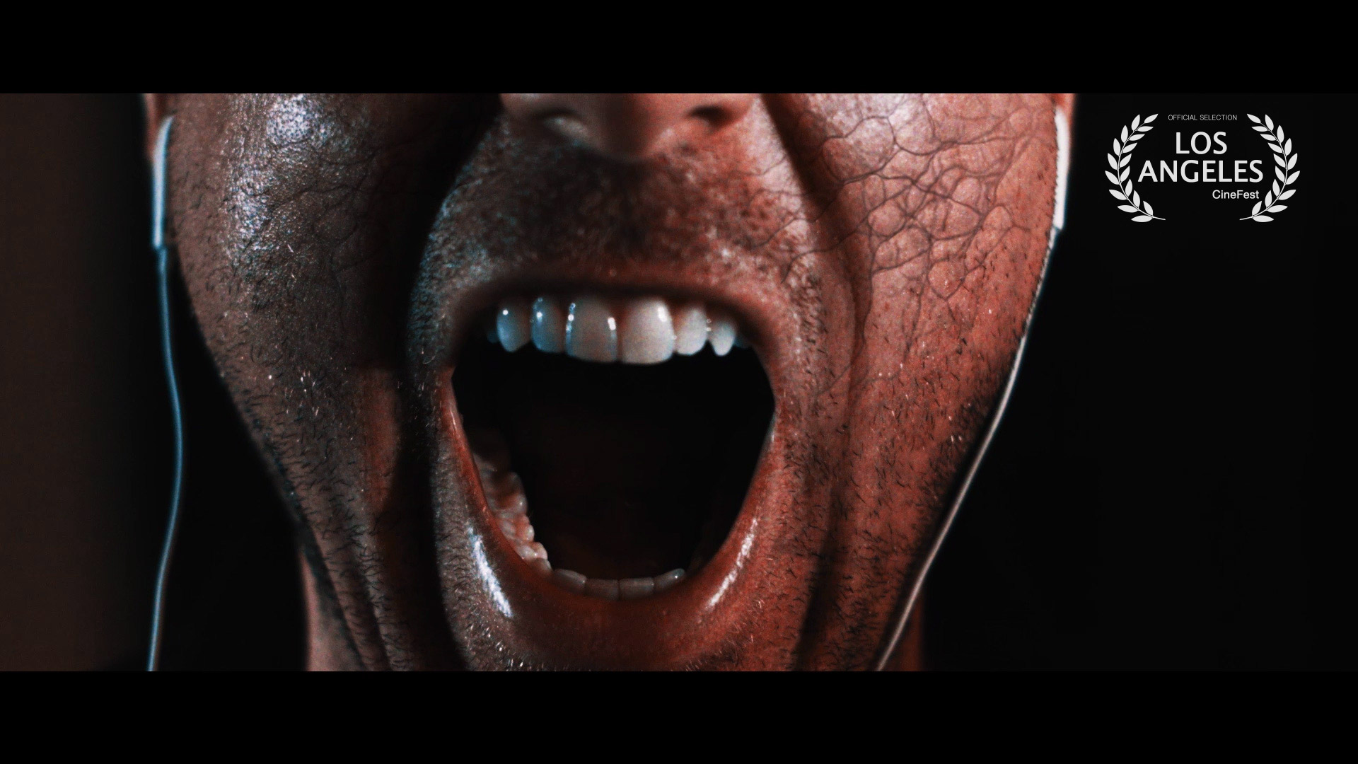 The second episode in the Pleasure Partner Horror Anthology "MUSCLES" scored its first official selection at the "LOS ANGELES CINE FEST" Big thanks to my cast/crew/producing team for all the hard work we put in to these little passion Projects! 2016 is our year! -Ian