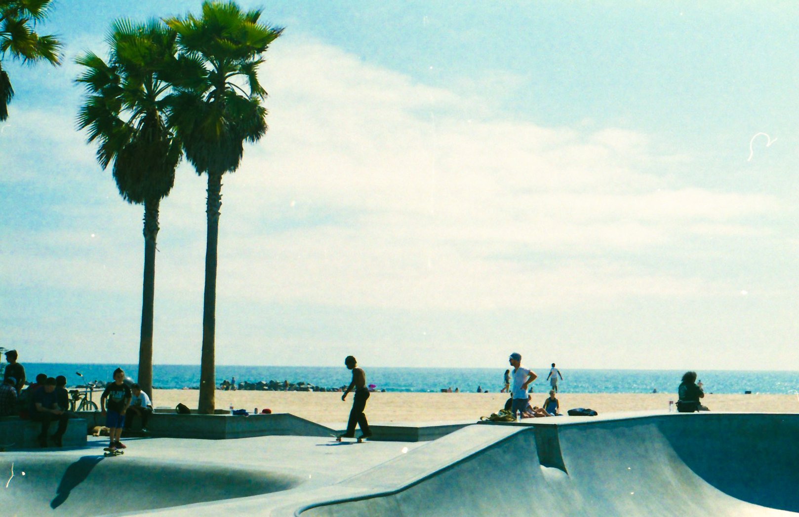 VENICE BEACH