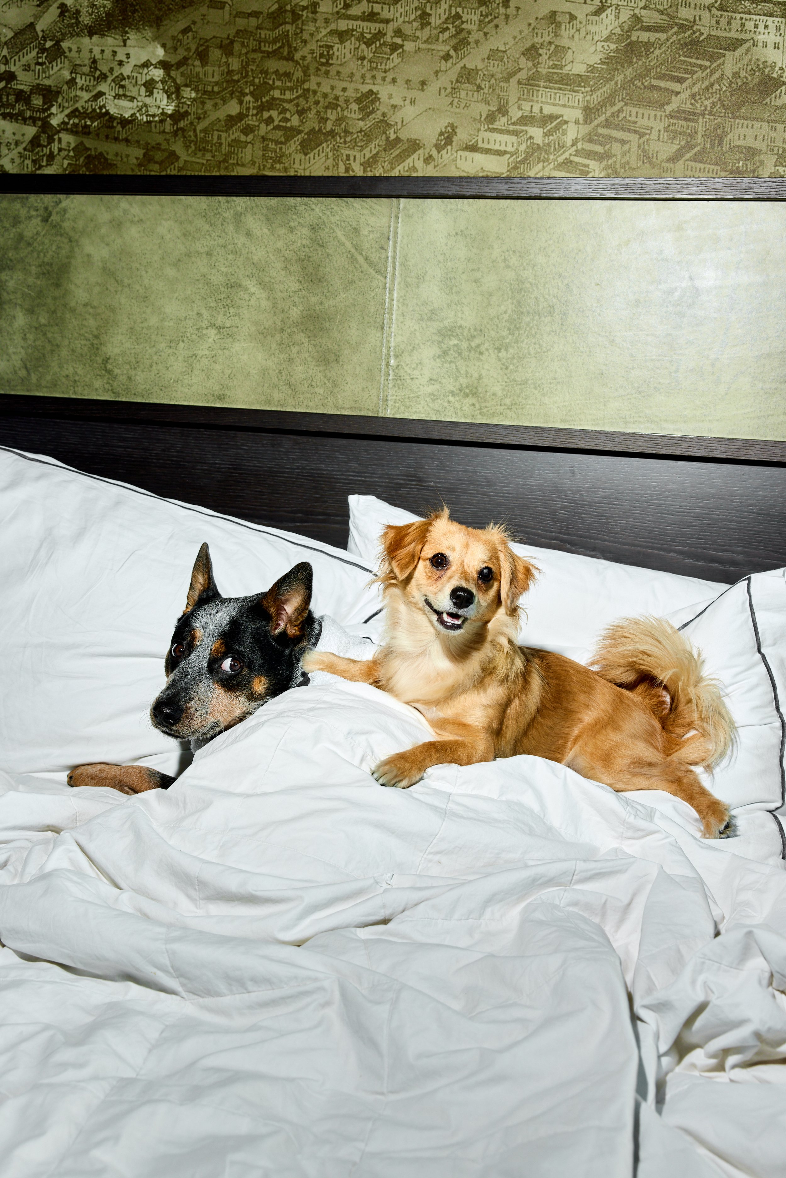 241010_Hotel_Van_Zandt_Austin_Texas_Emily_Quirk_000776.jpg