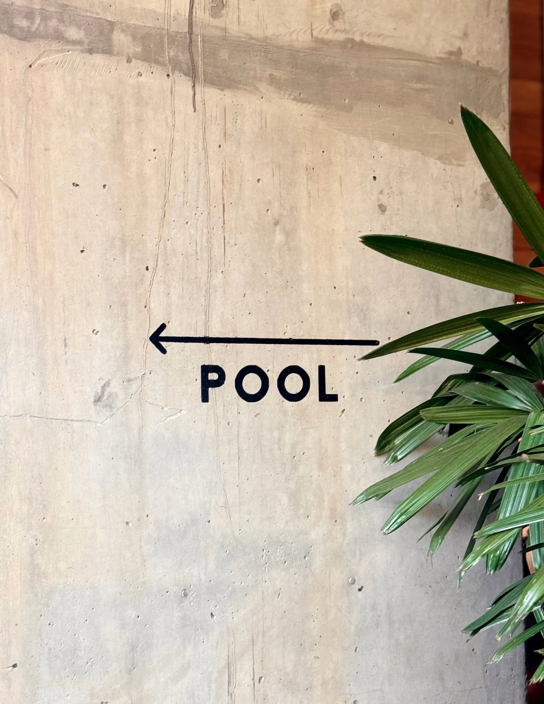 CARPENTER_HOTEL_ATX_QUIRK.jpg