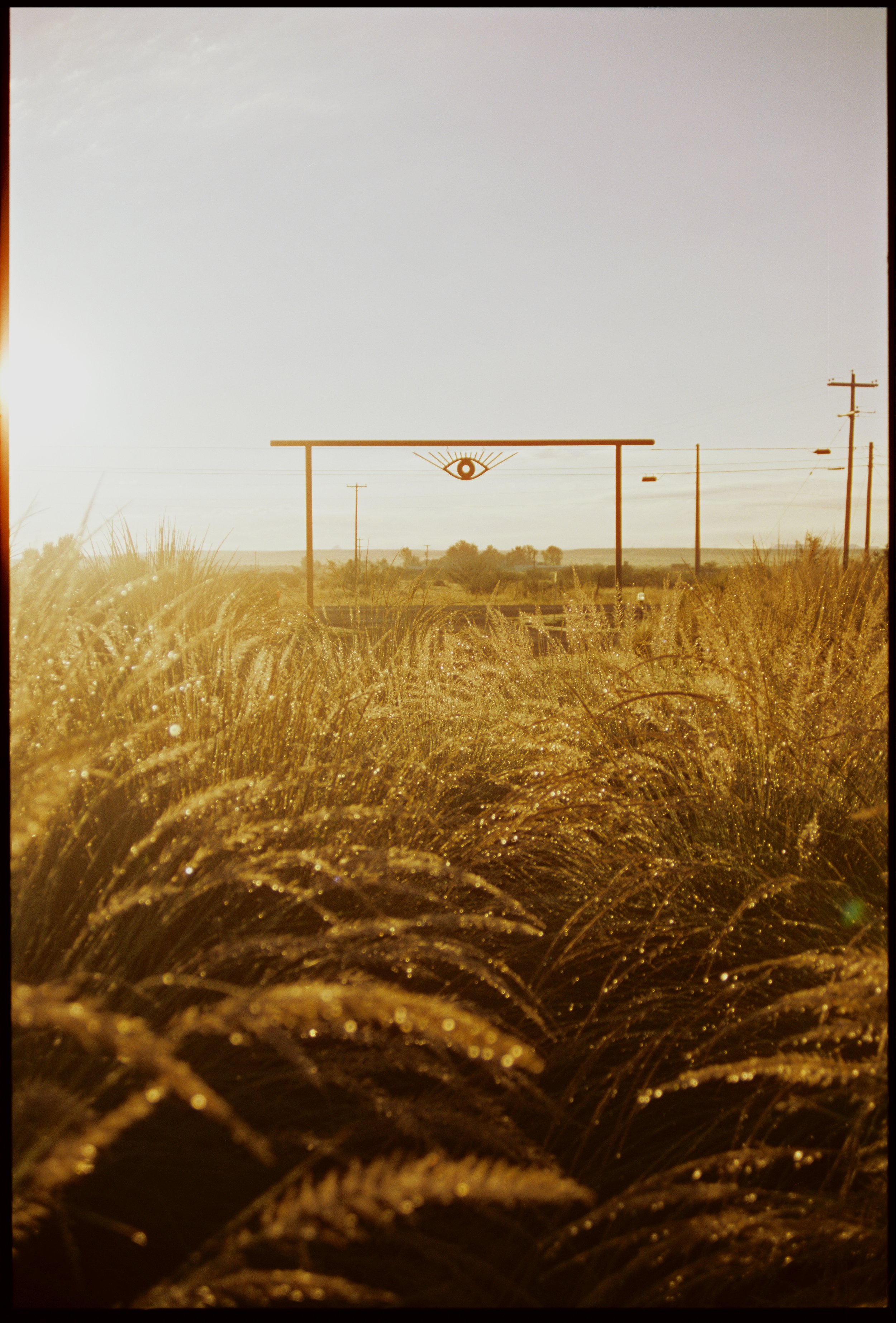 2022-Road_Trip-Film-Cinestill_50D-Quirk_24-RETOUCHED.jpg