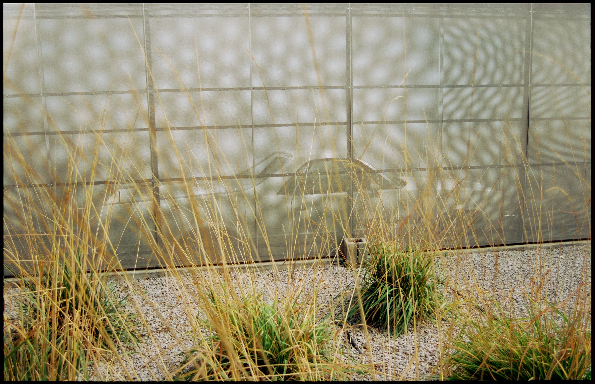 2022-Road_Trip-Film-Cinestill_50D-Quirk_5-RETOUCHED-FINAL.jpg