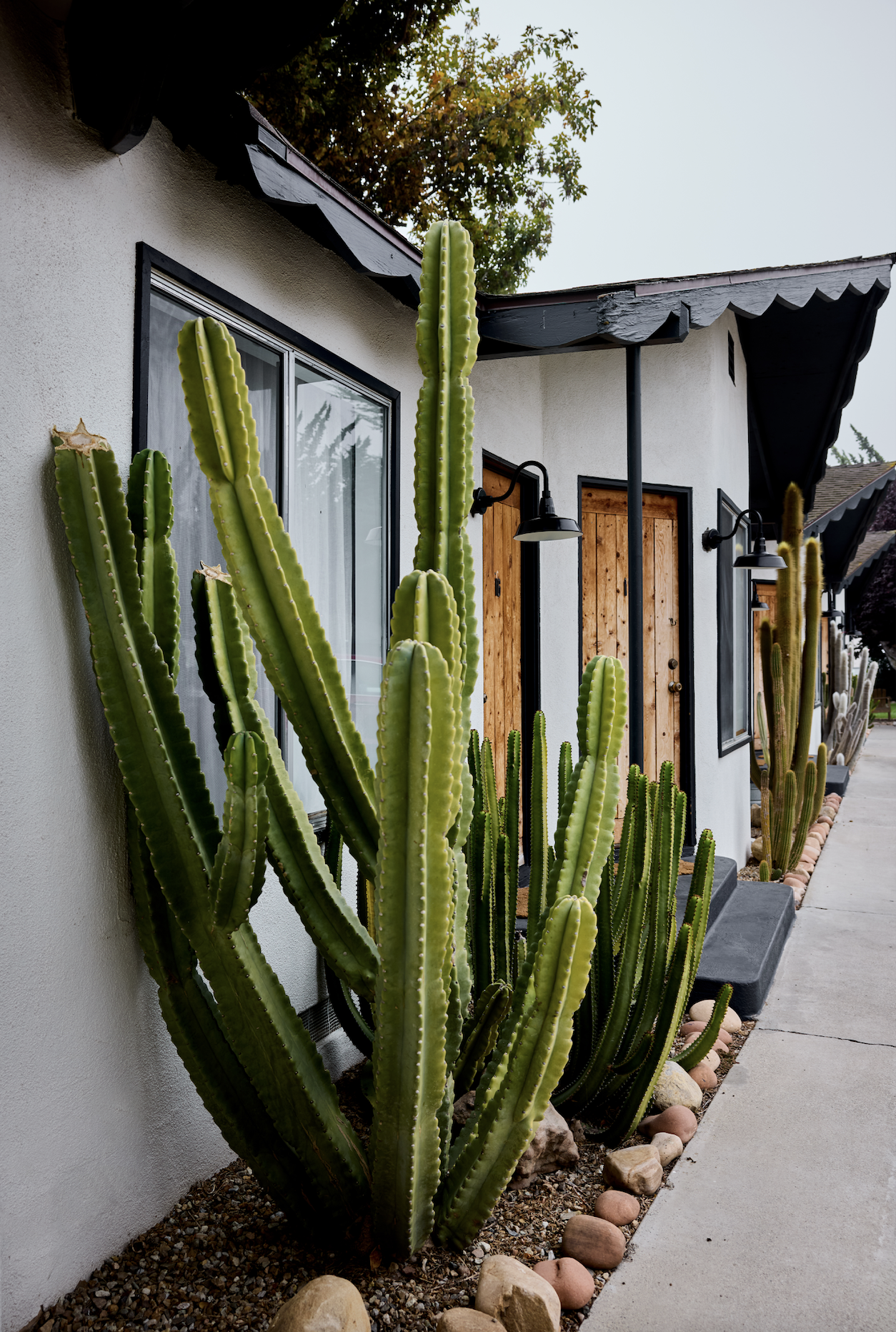 240926-28_SANTA_BARBARA_LOS_ALAMOS_Architectural_CALIFORNIA_Quirk_000929-RT.png