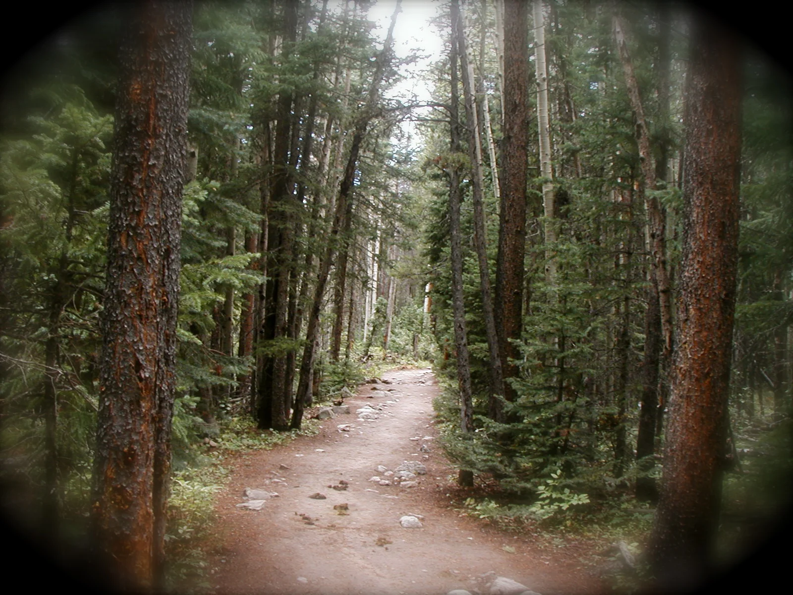 I'm not sure about counseling...