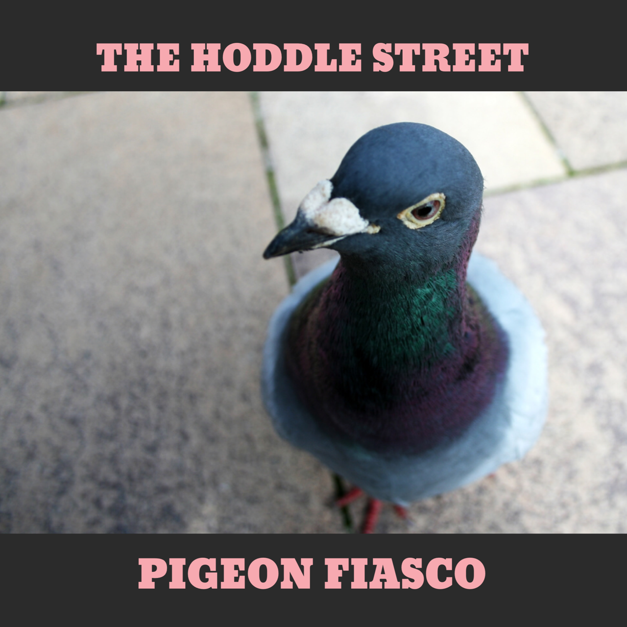 Photo by Pablo / Lord Ferguson @ https://www.flickr.com/photos/lordferguson/