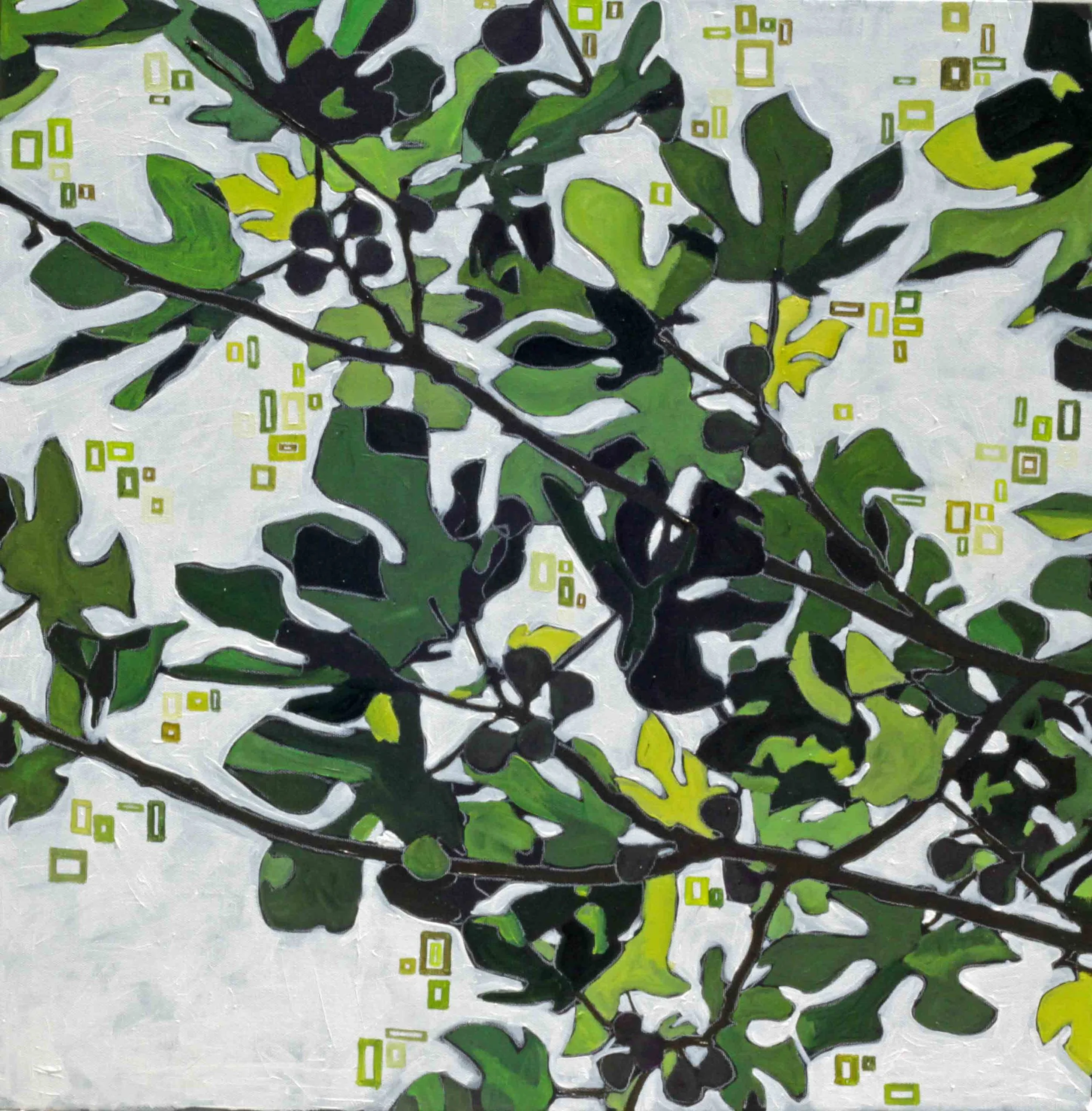 fig branches squared