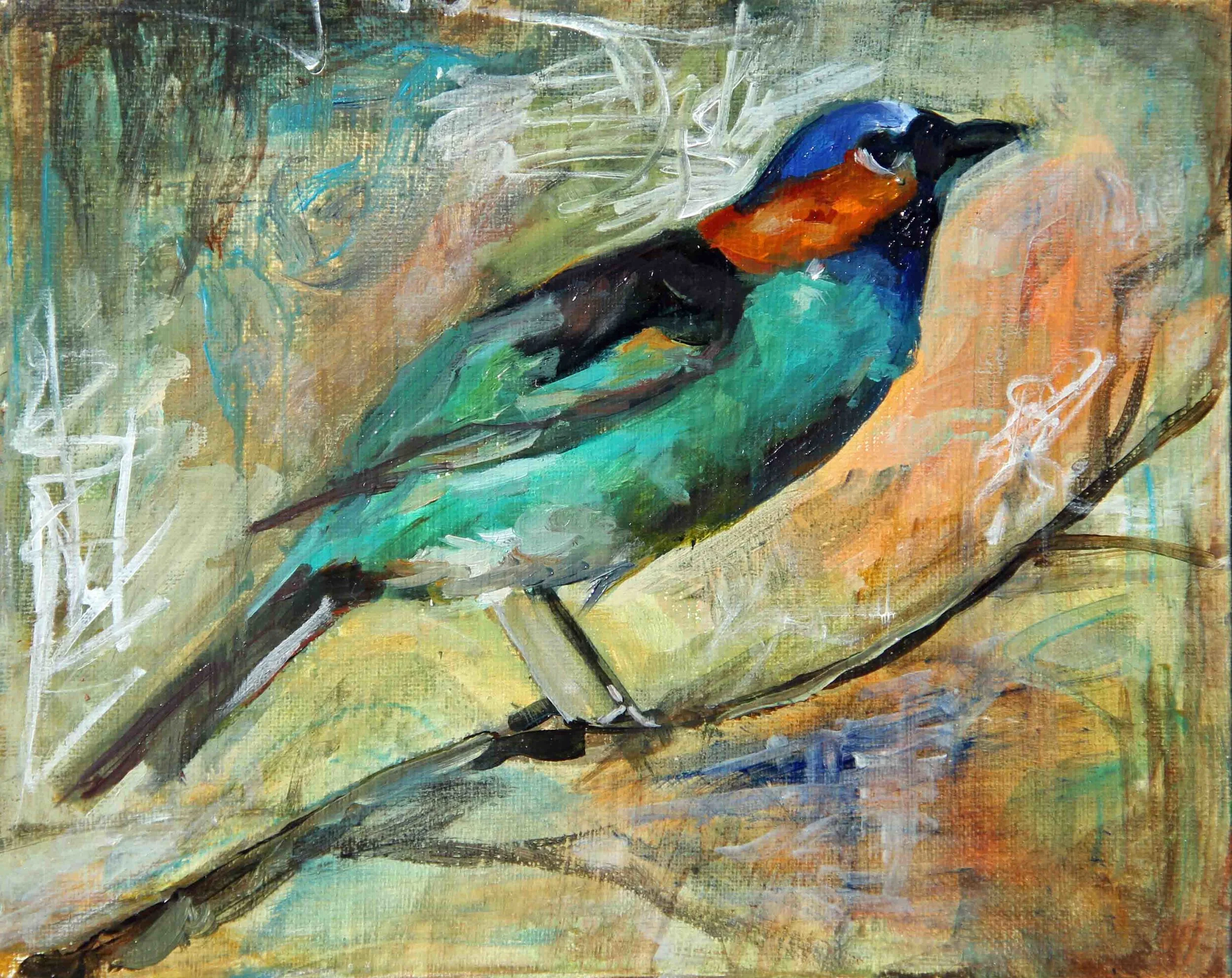 bird with orange and blue head