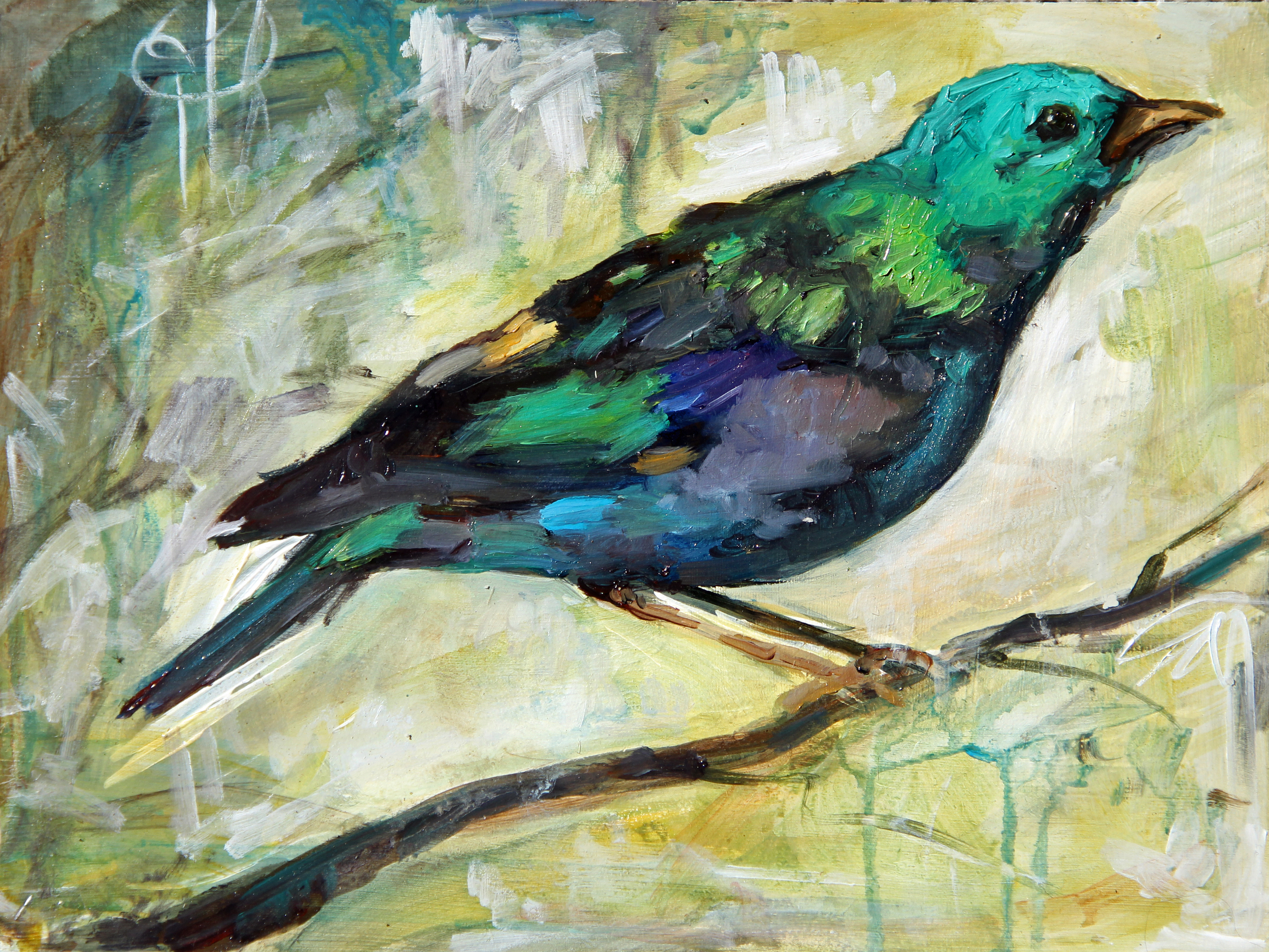 bird with green head