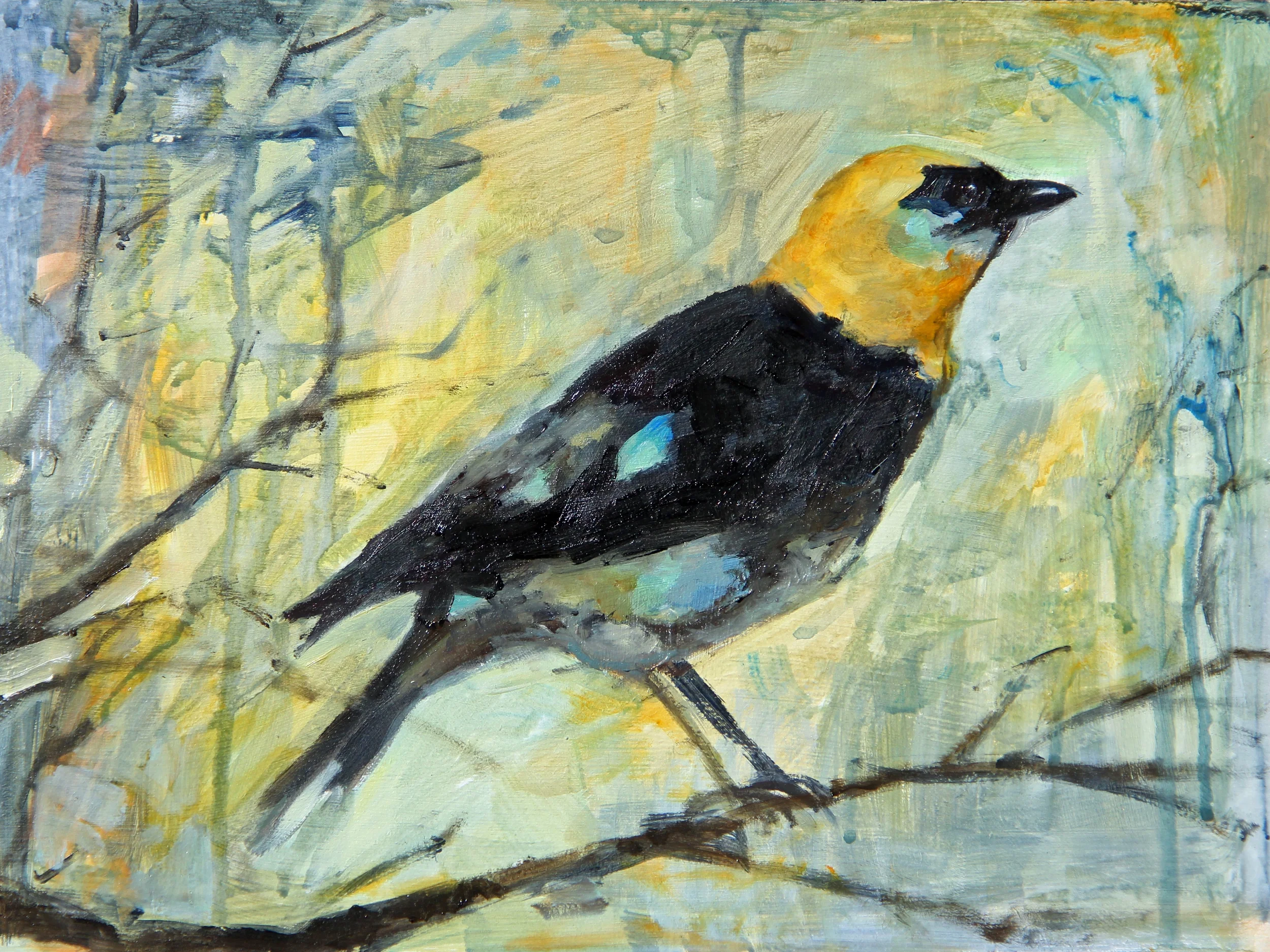 bird with yellow head