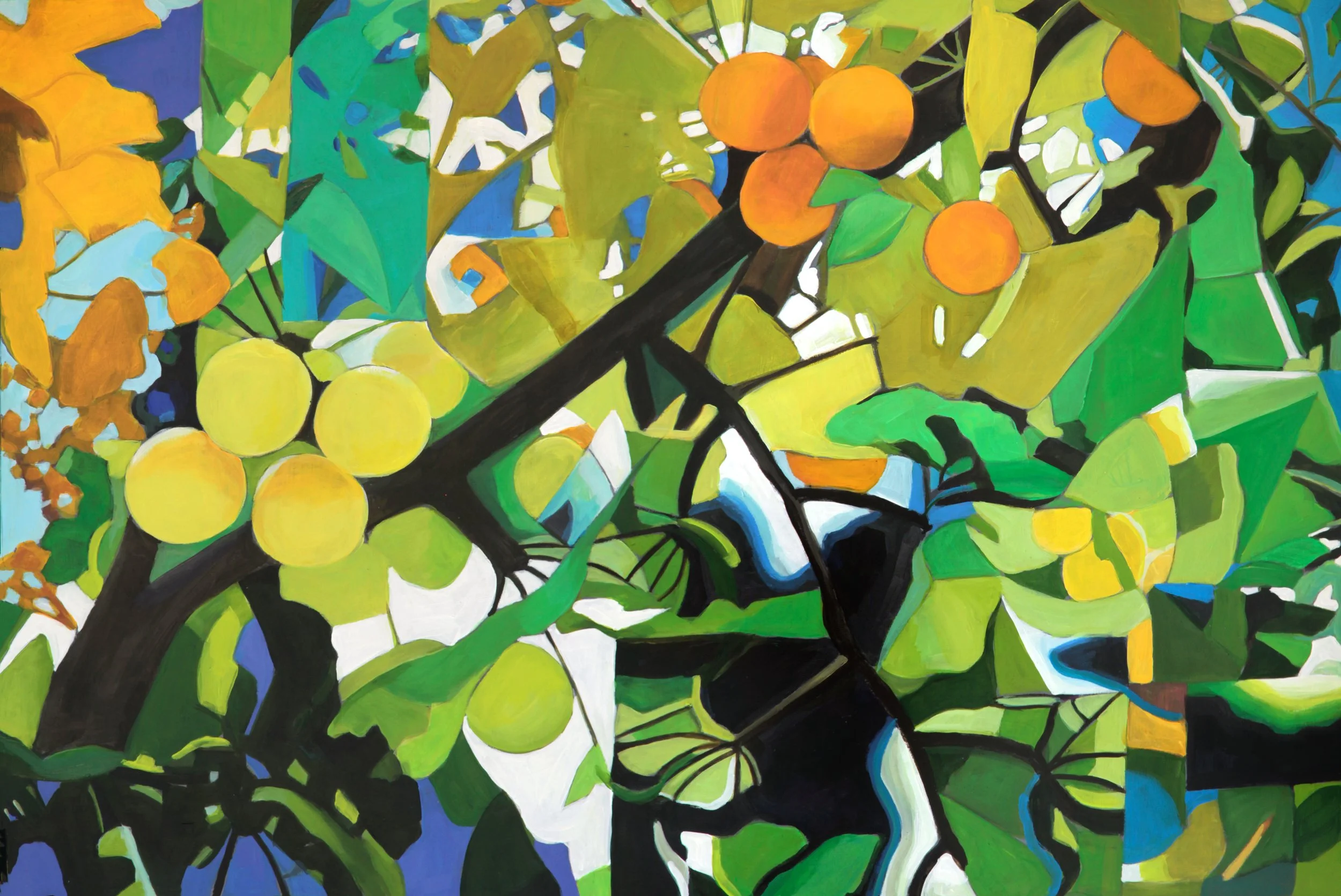 Considering Time (gingko study)