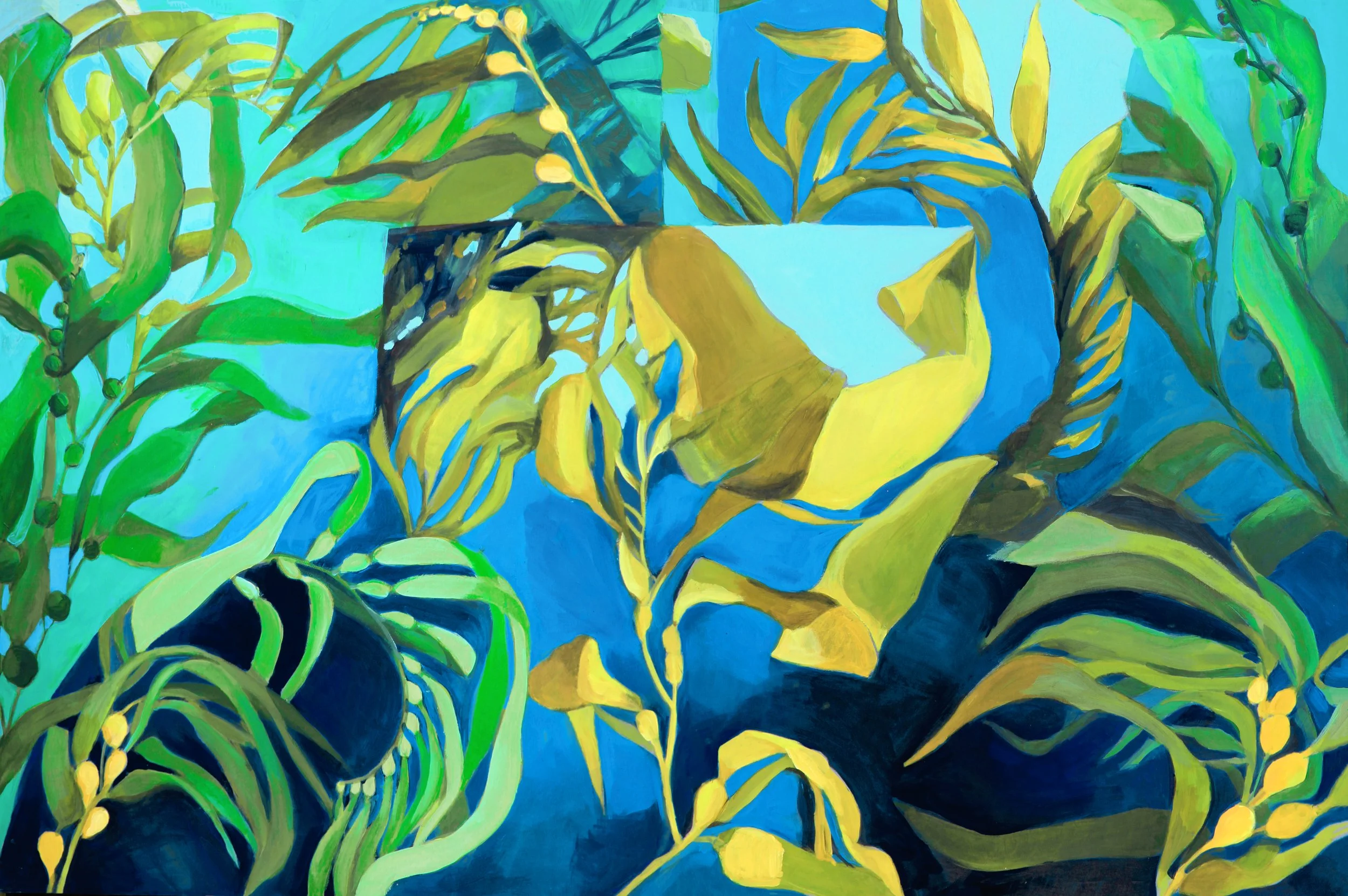 Community (kelp study)