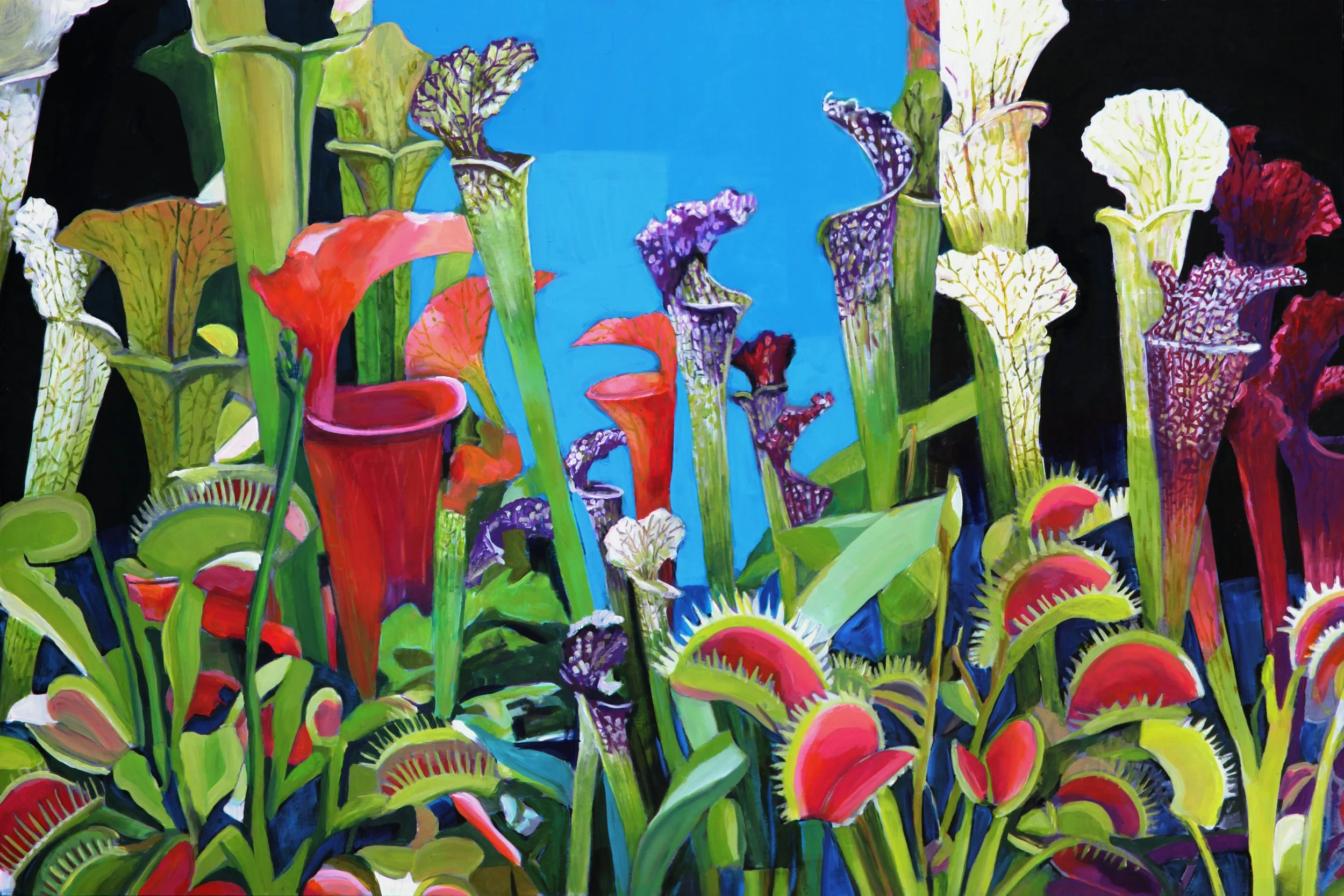 Perilous (pitcher plants and venus flytraps)