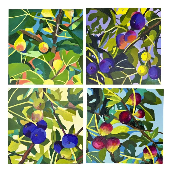 From fig leaves: 4 Variations on theme of agency