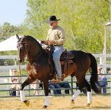 Lester Buckley Clinic