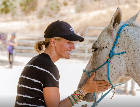 Horse Connections-Energy