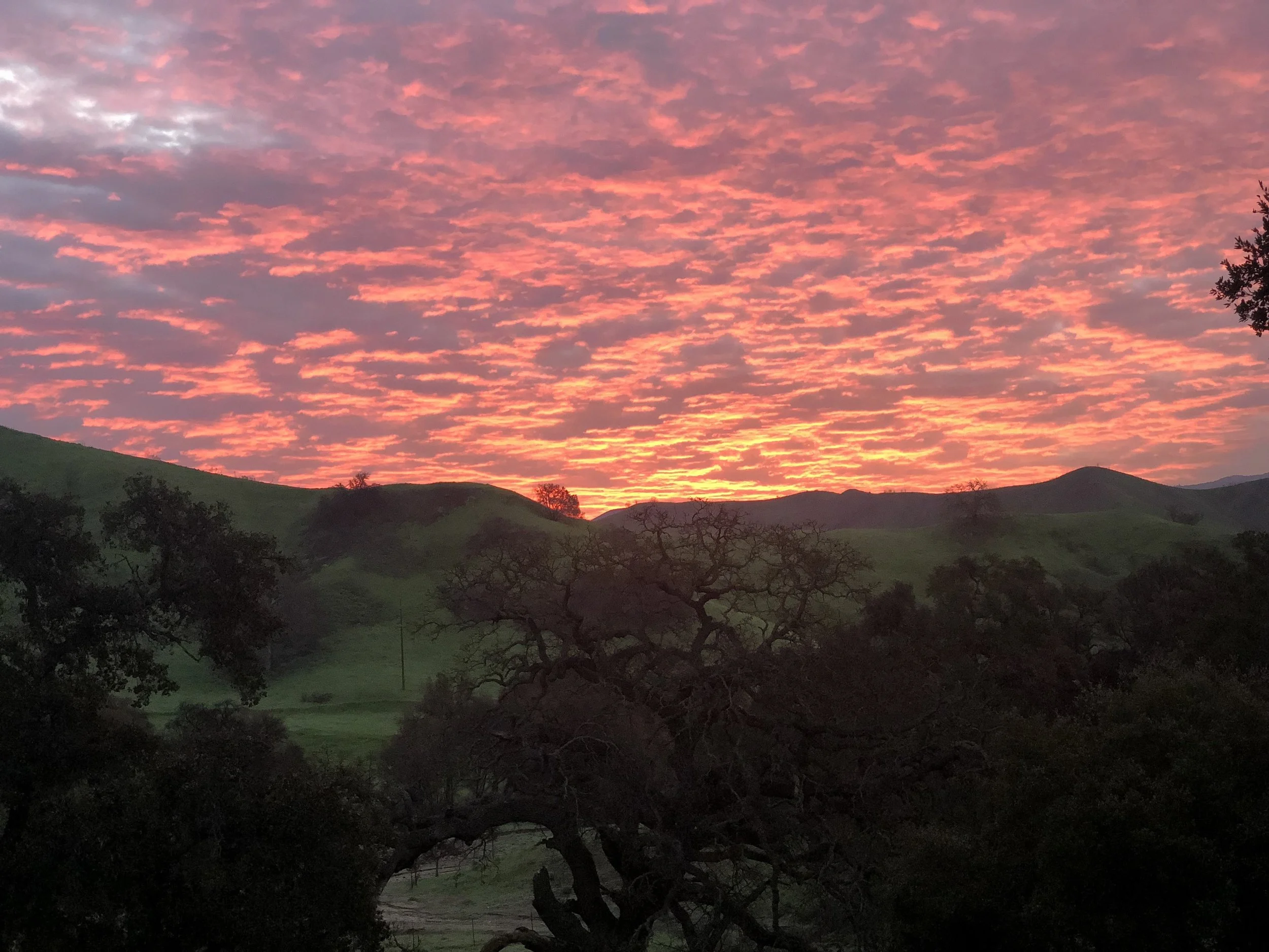 Mindful Horsemanship