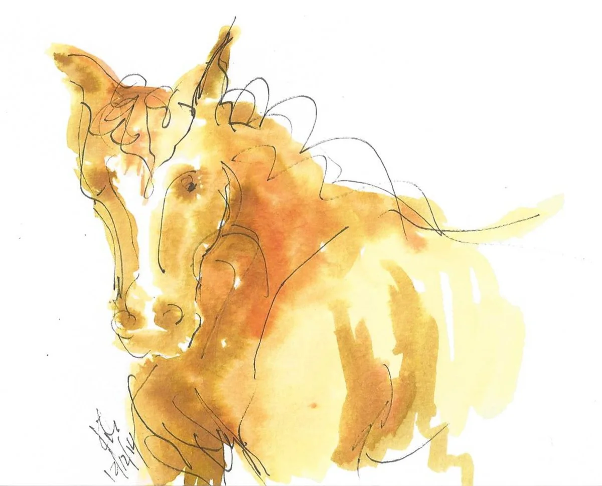 🎨 Creative Mornings with the Herd