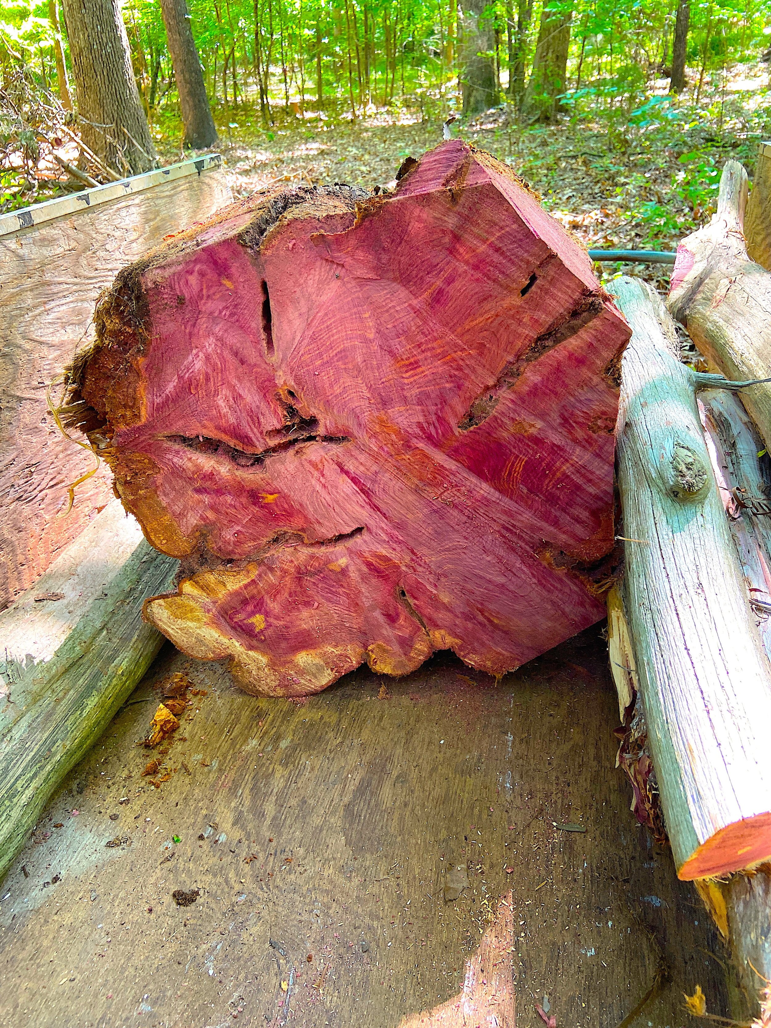 My Kool Red Wood.jpg