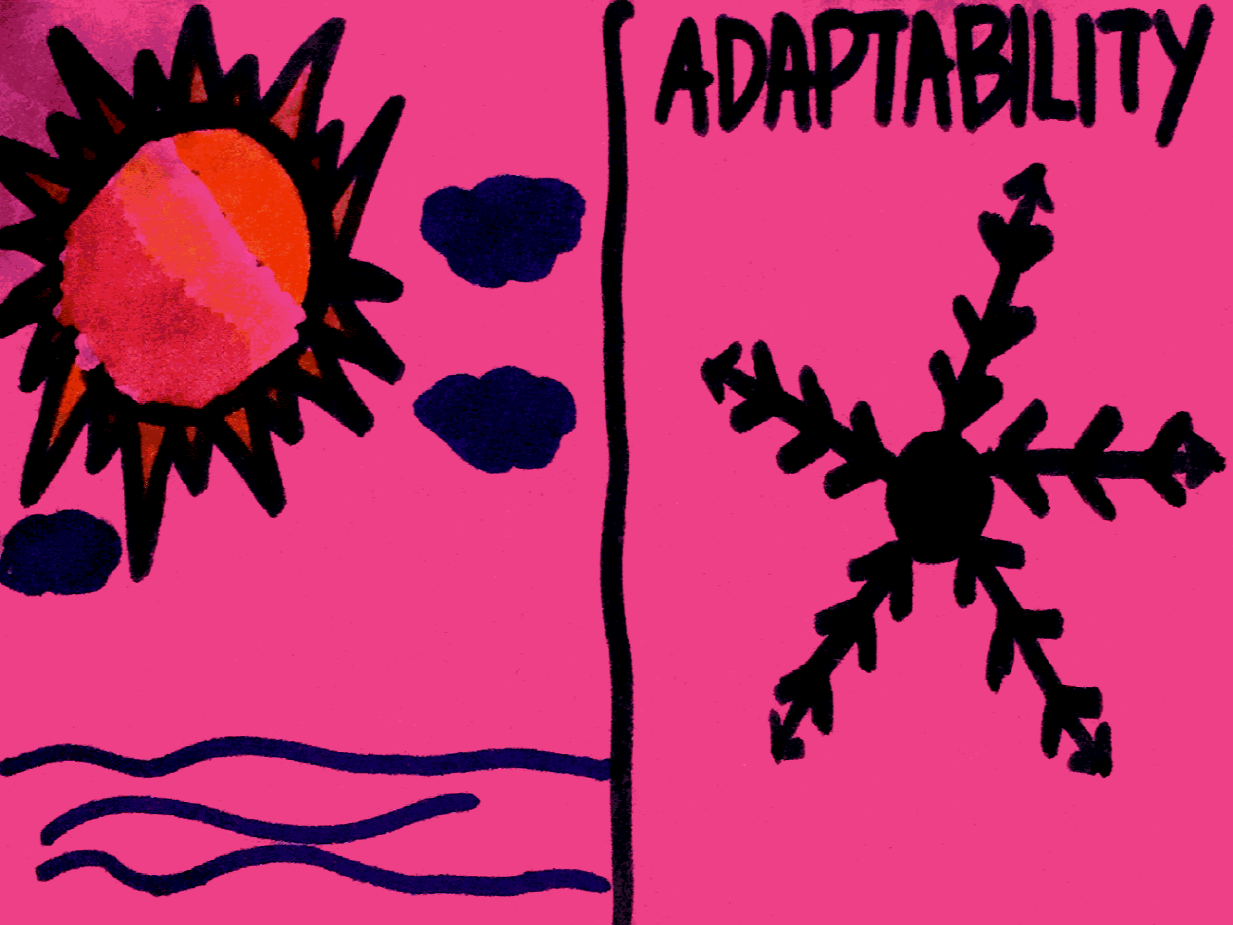 Adaptability StrengthsFinder Singapore Winter Summer