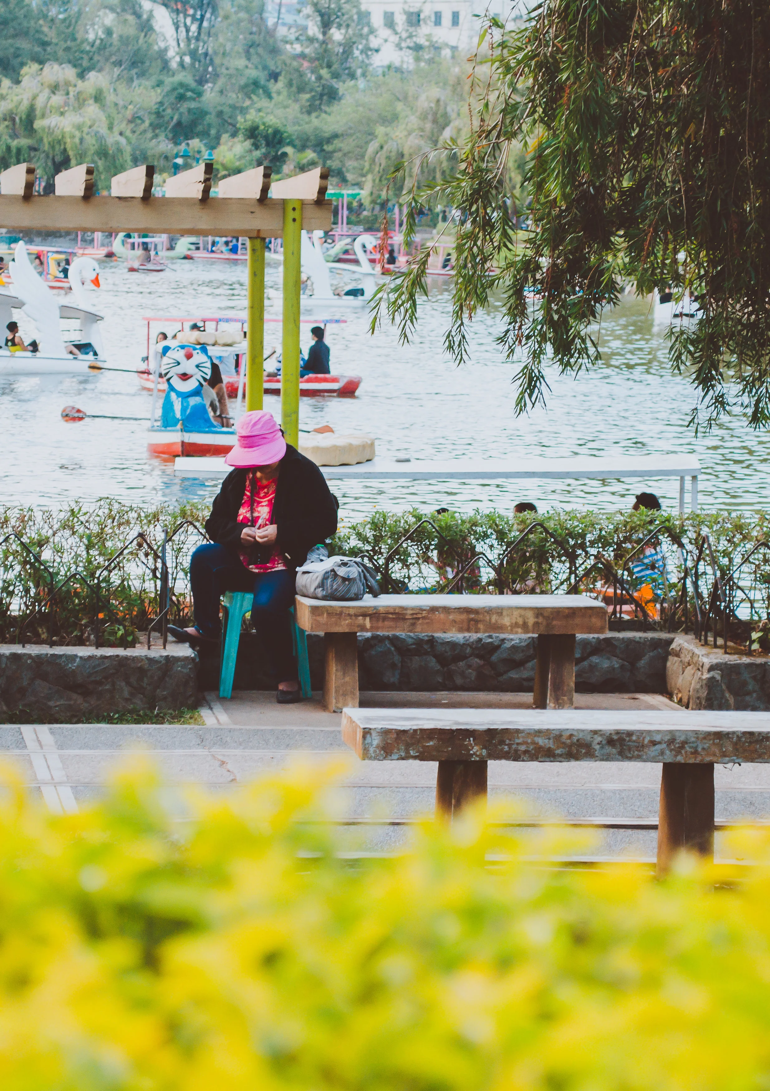 Rose Renolla Collection II