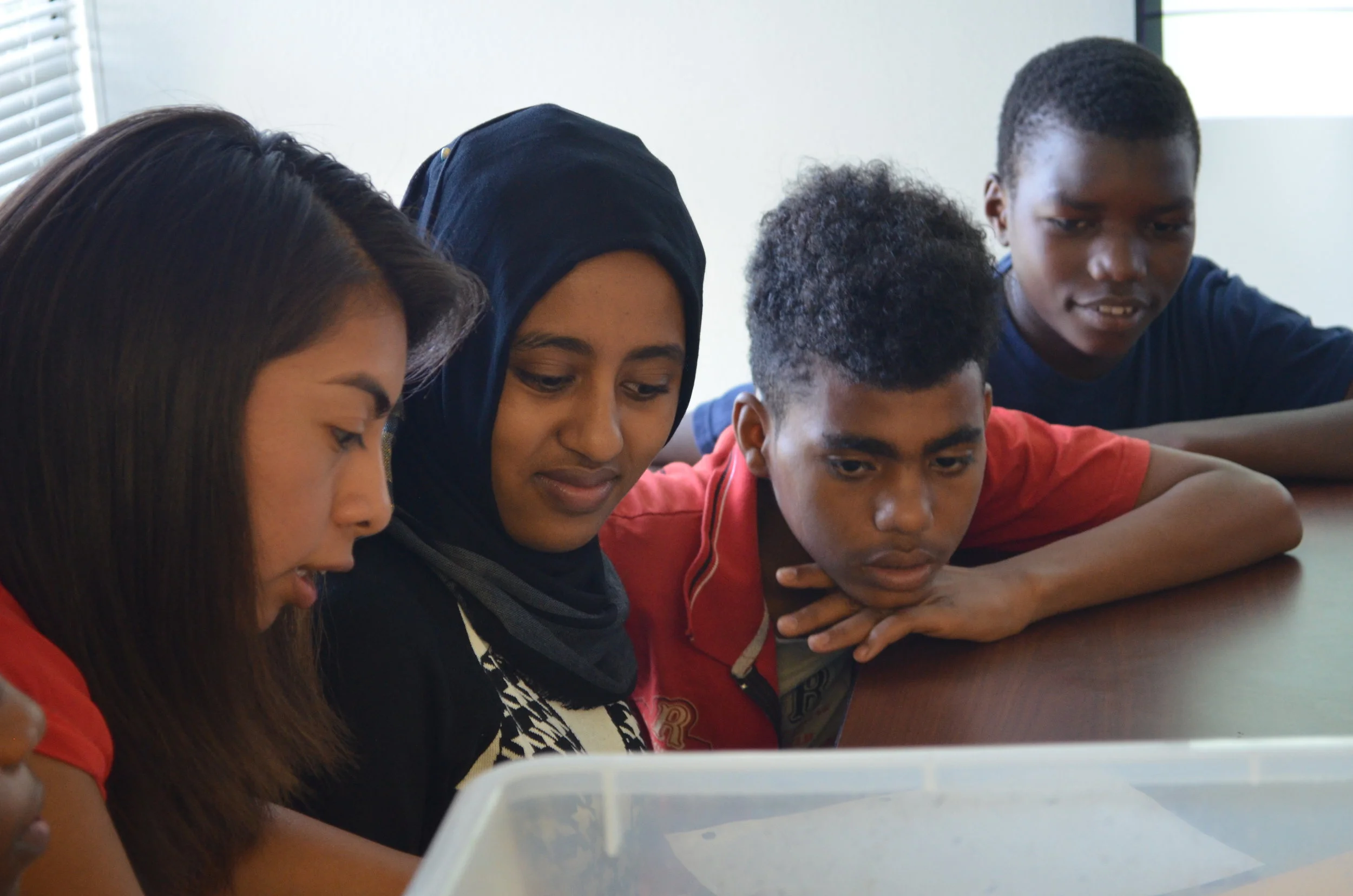 Copy of 20160712_Workshop_0097.JPG