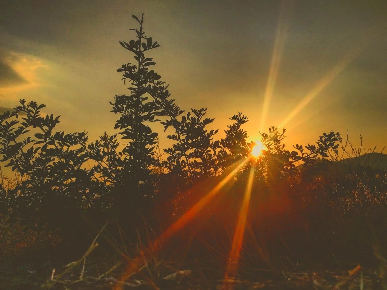 Fulfillment through Photography