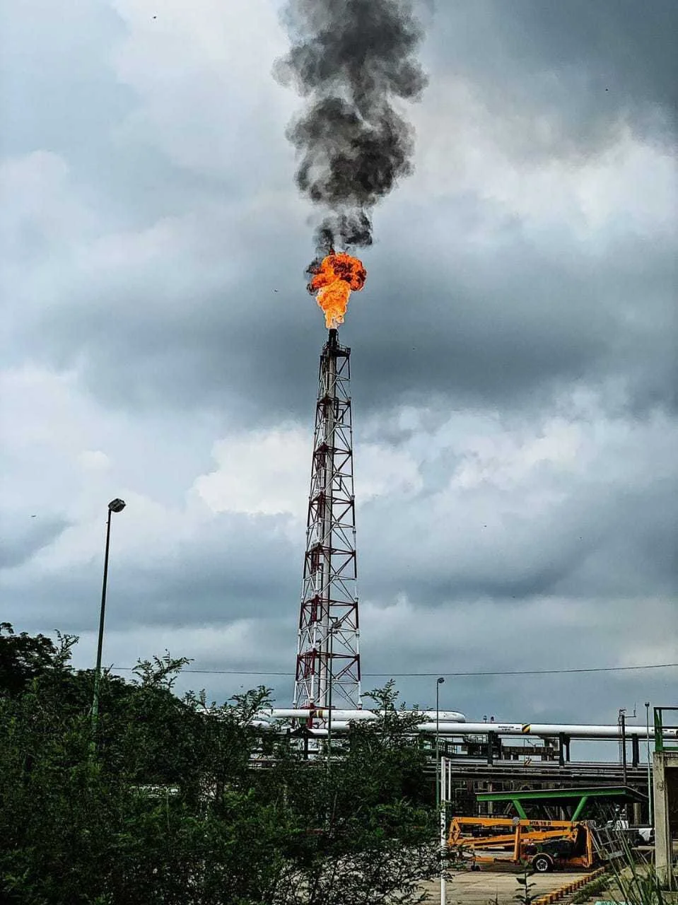 A Tale About the Future