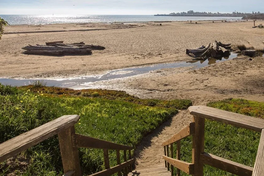seabright2.jpg