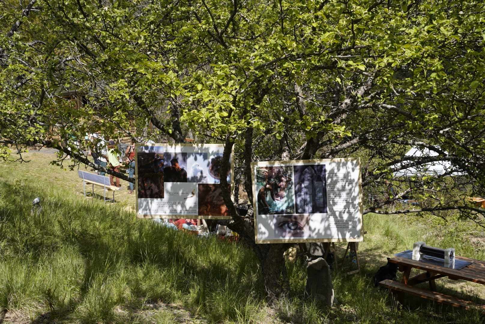 45dc5016182ab6aef6027c94991e4f8f.JPEG