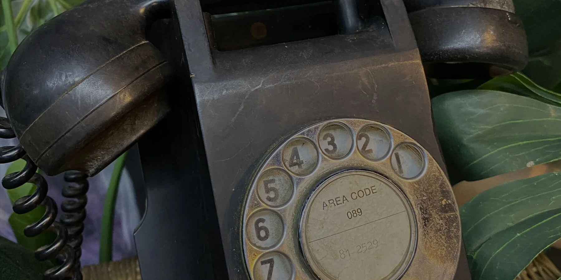 Contact-BG.jpg