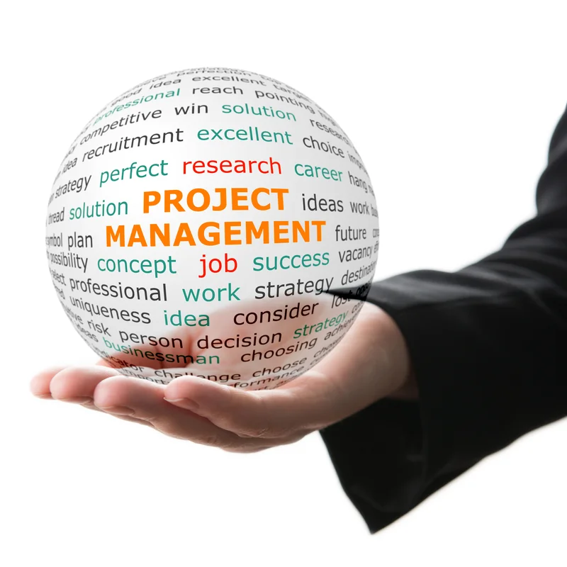 project management.jpg