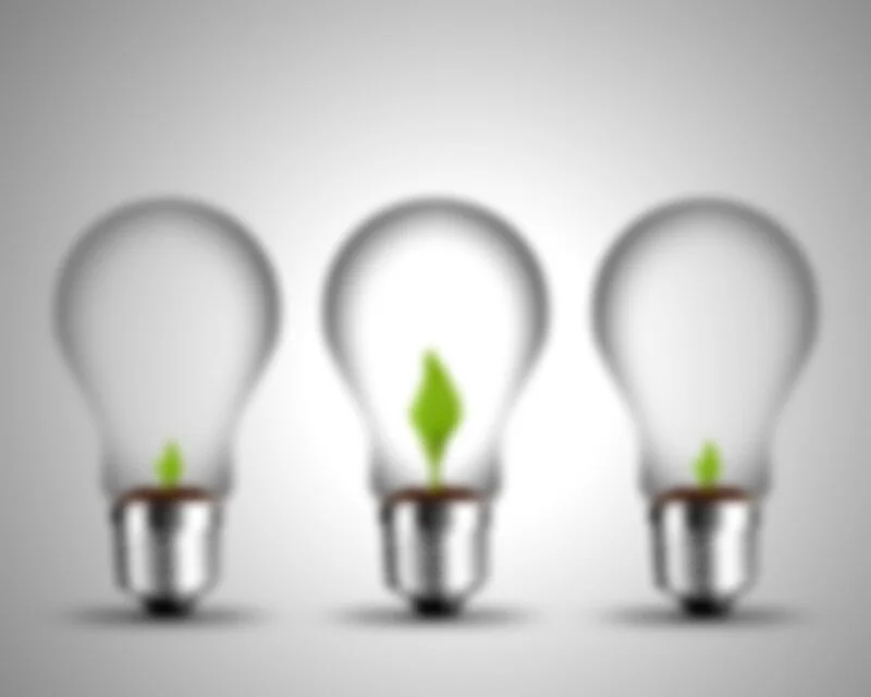 growing+tree+lightbulbs.jpg