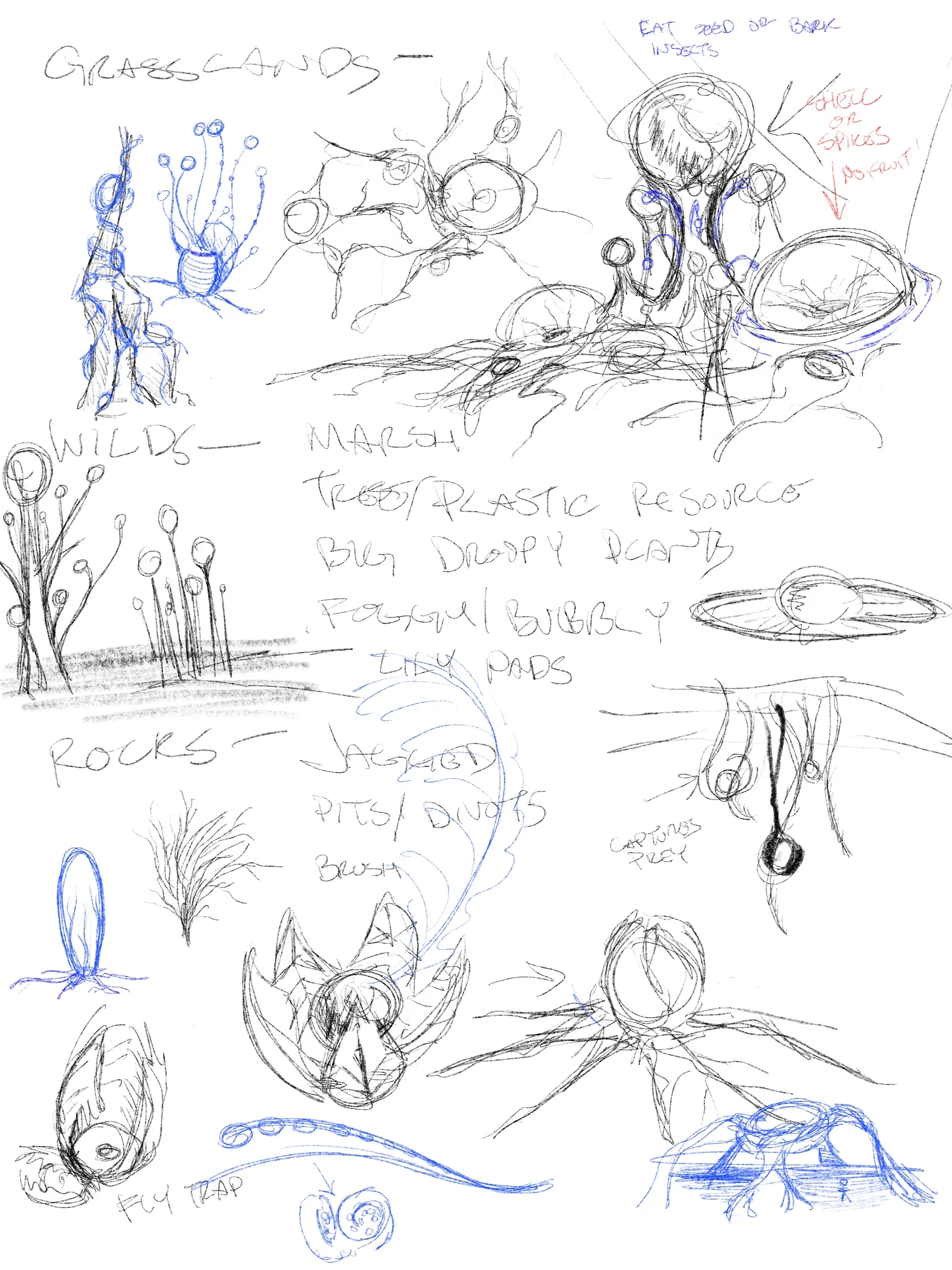 Eye Plants.jpg